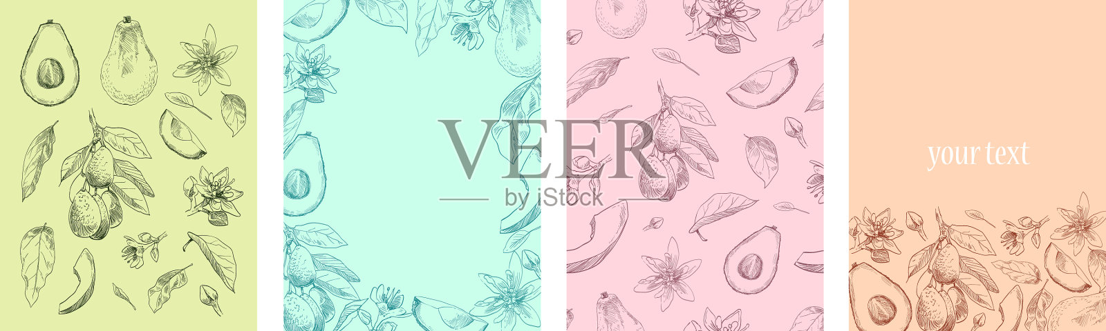 元素牛油果植物模板卡片插画图片素材