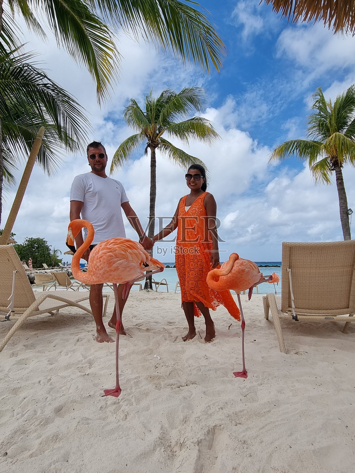 阿鲁巴海滩上有粉红色的火烈鸟，加勒比海阿鲁巴岛的火烈鸟照片摄影图片