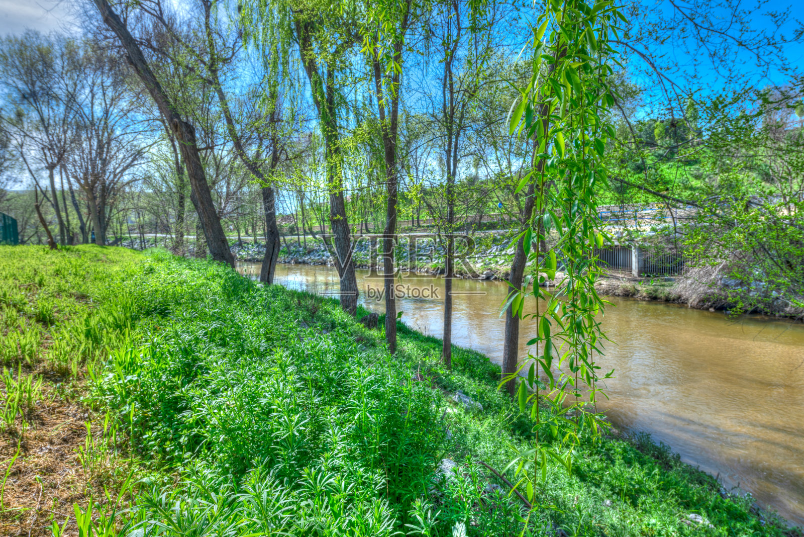 河公园照片摄影图片