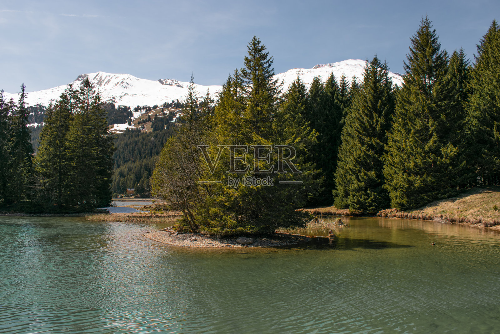 在瑞士Lenzerheide的Heidsee放松照片摄影图片