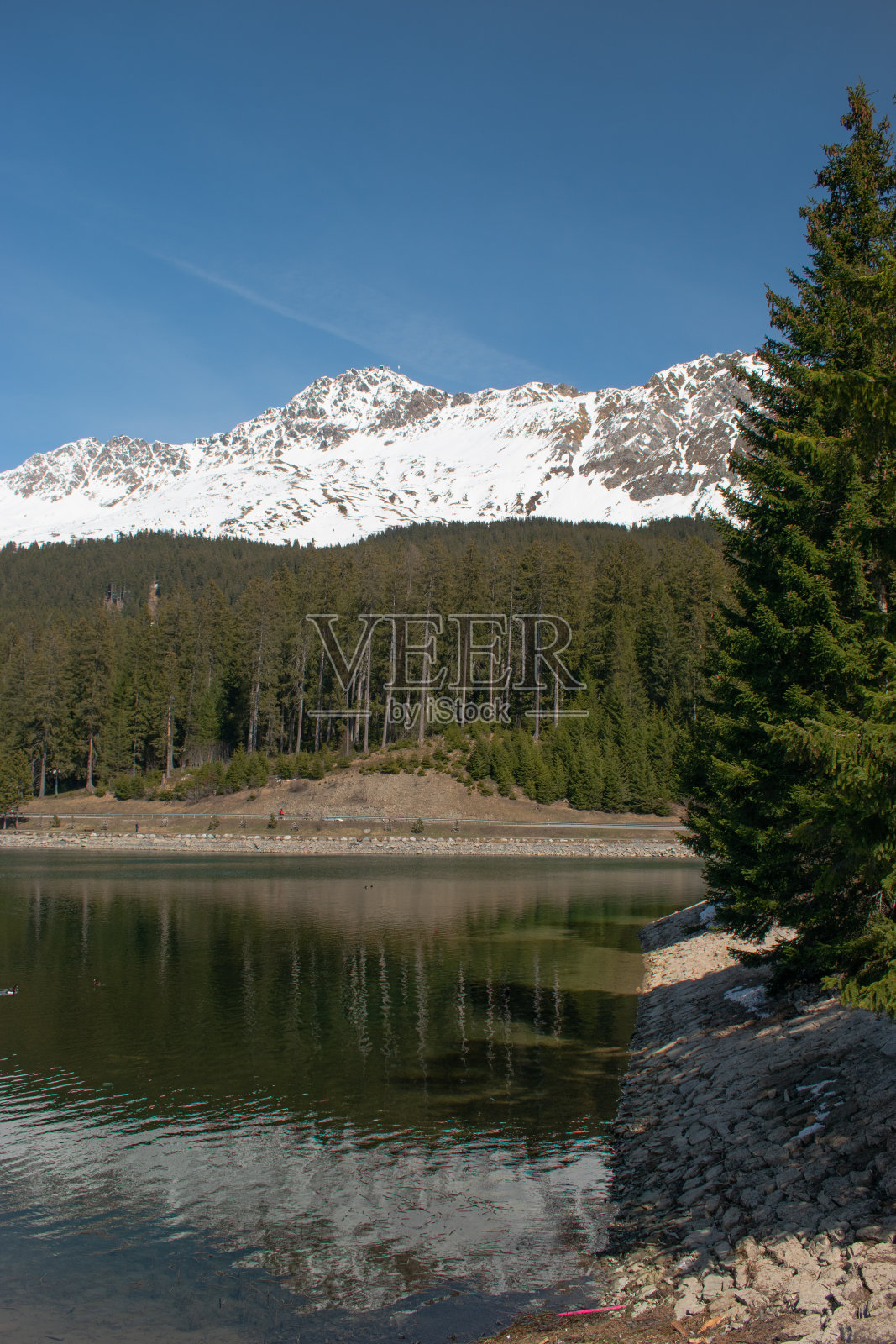 在瑞士Lenzerheide的Heidsee放松照片摄影图片