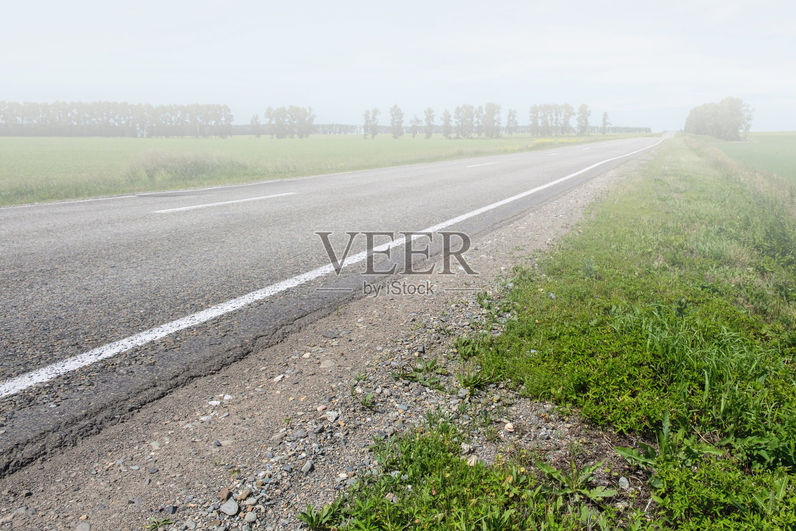 绿色田野间笔直的柏油路照片摄影图片