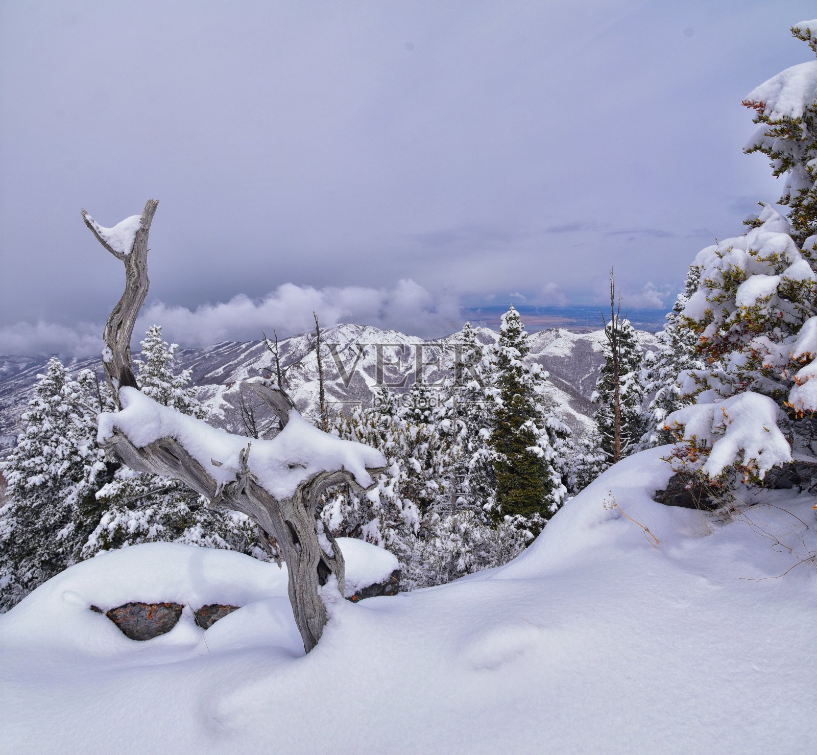 在犹他州盐湖城，通过沃萨奇前落基山脉的博纳维尔海岸线步道，小黑峰徒步步道可以看到冬天的雪景。美国。照片摄影图片