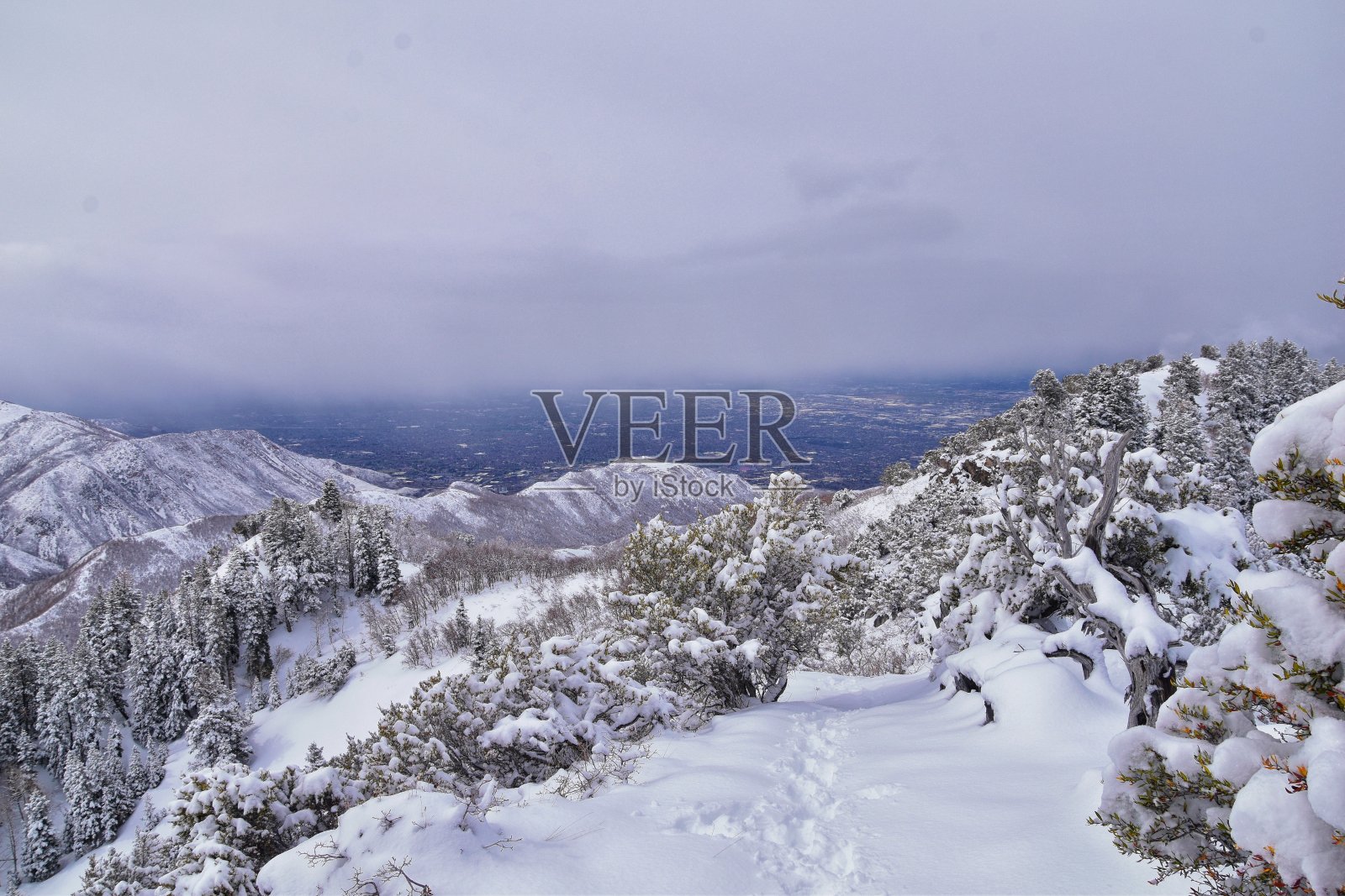 在犹他州盐湖城，通过沃萨奇前落基山脉的博纳维尔海岸线步道，小黑峰徒步步道可以看到冬天的雪景。美国。照片摄影图片