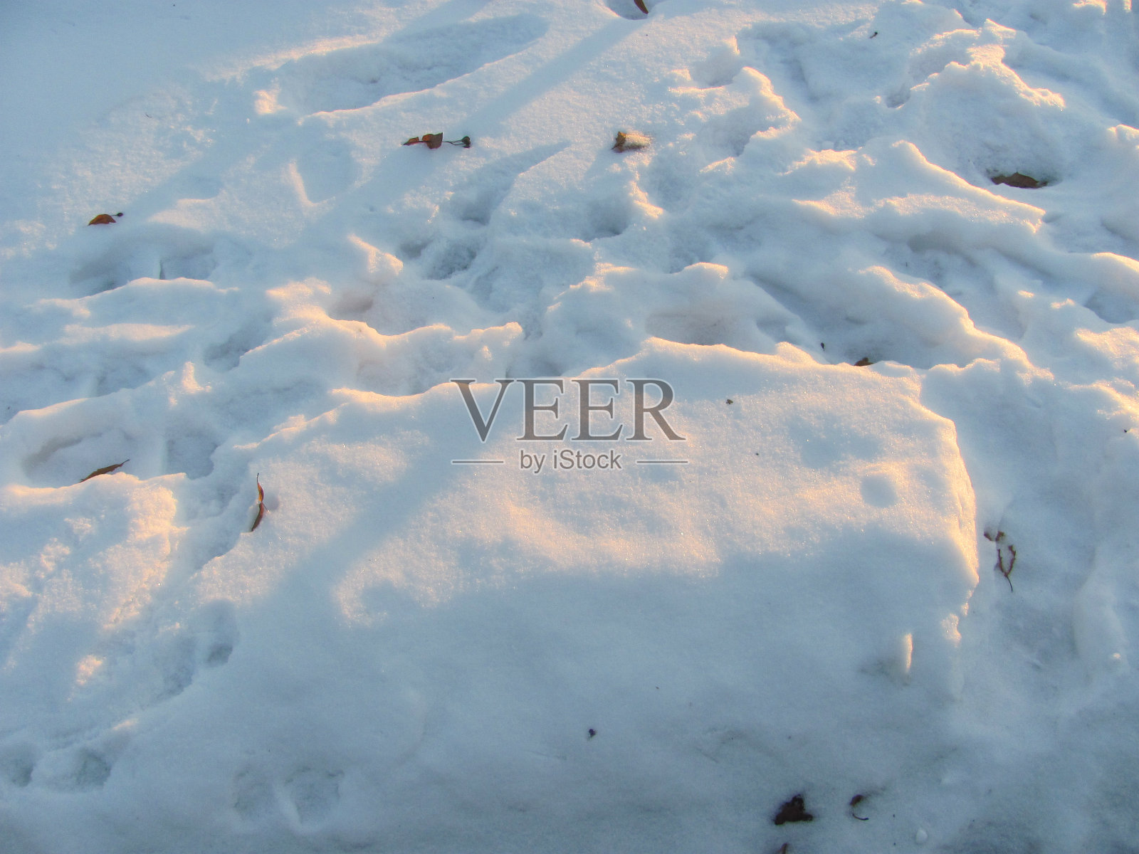 背景:白雪和脚印照片摄影图片