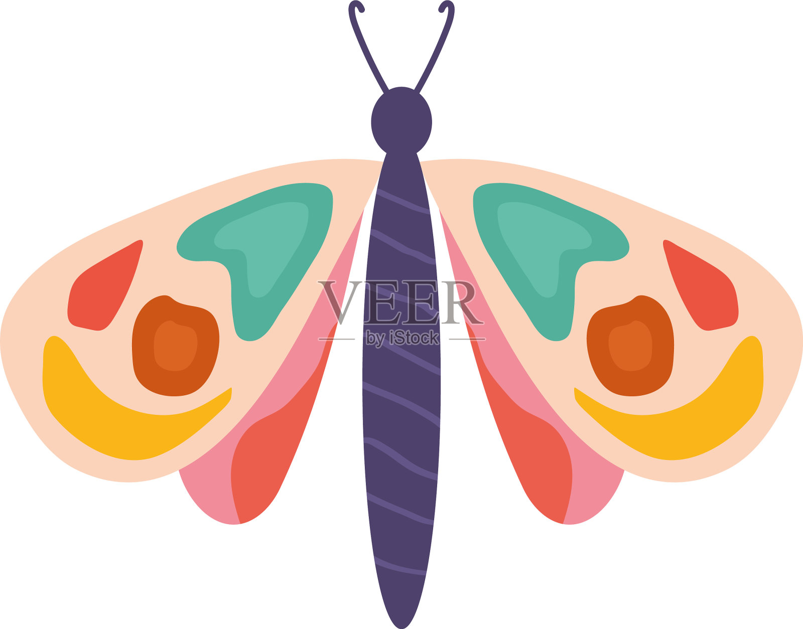 手绘蝴蝶在一个白色的背景插画图片素材