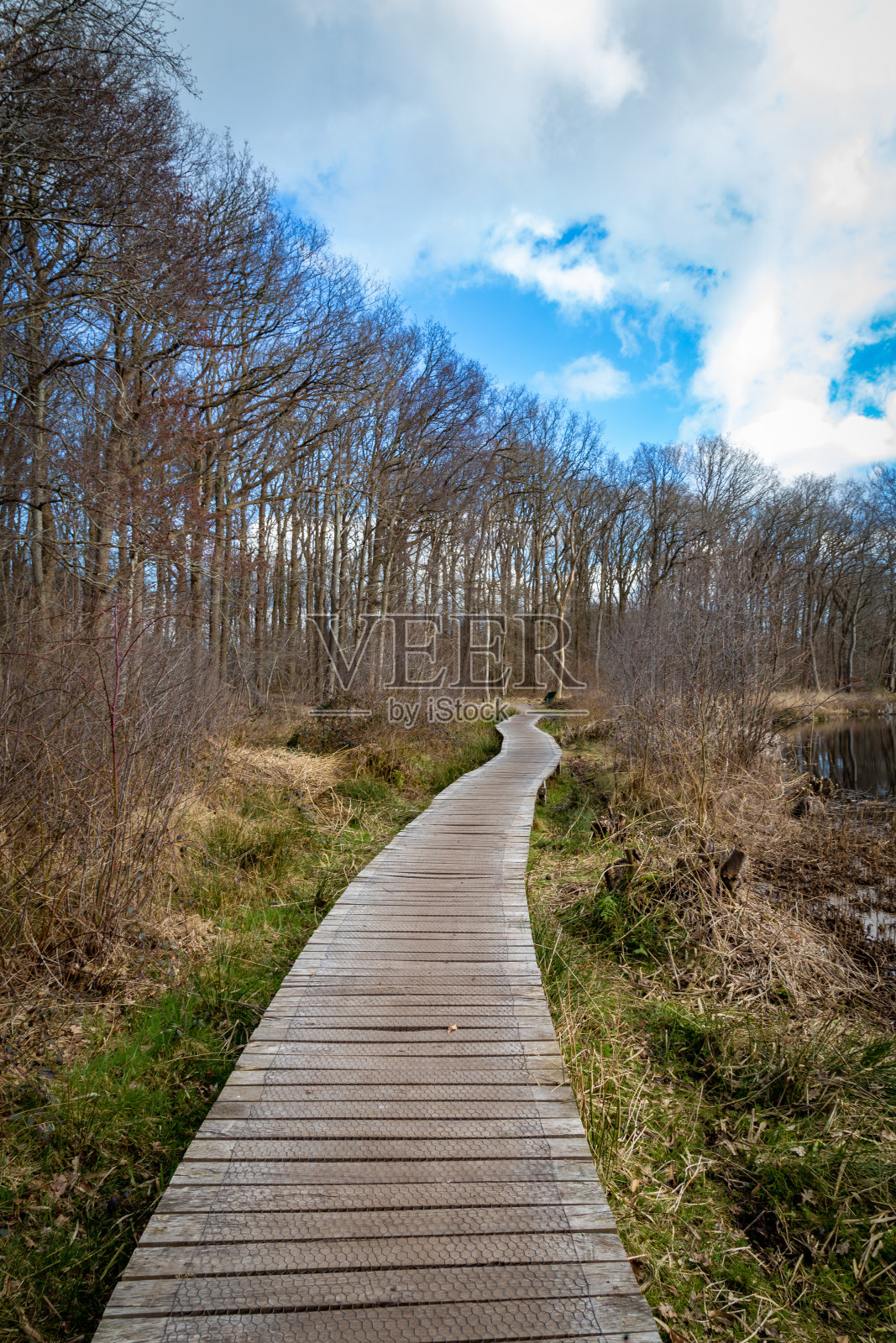 沿着池塘的天然木制步道，天空密布照片摄影图片