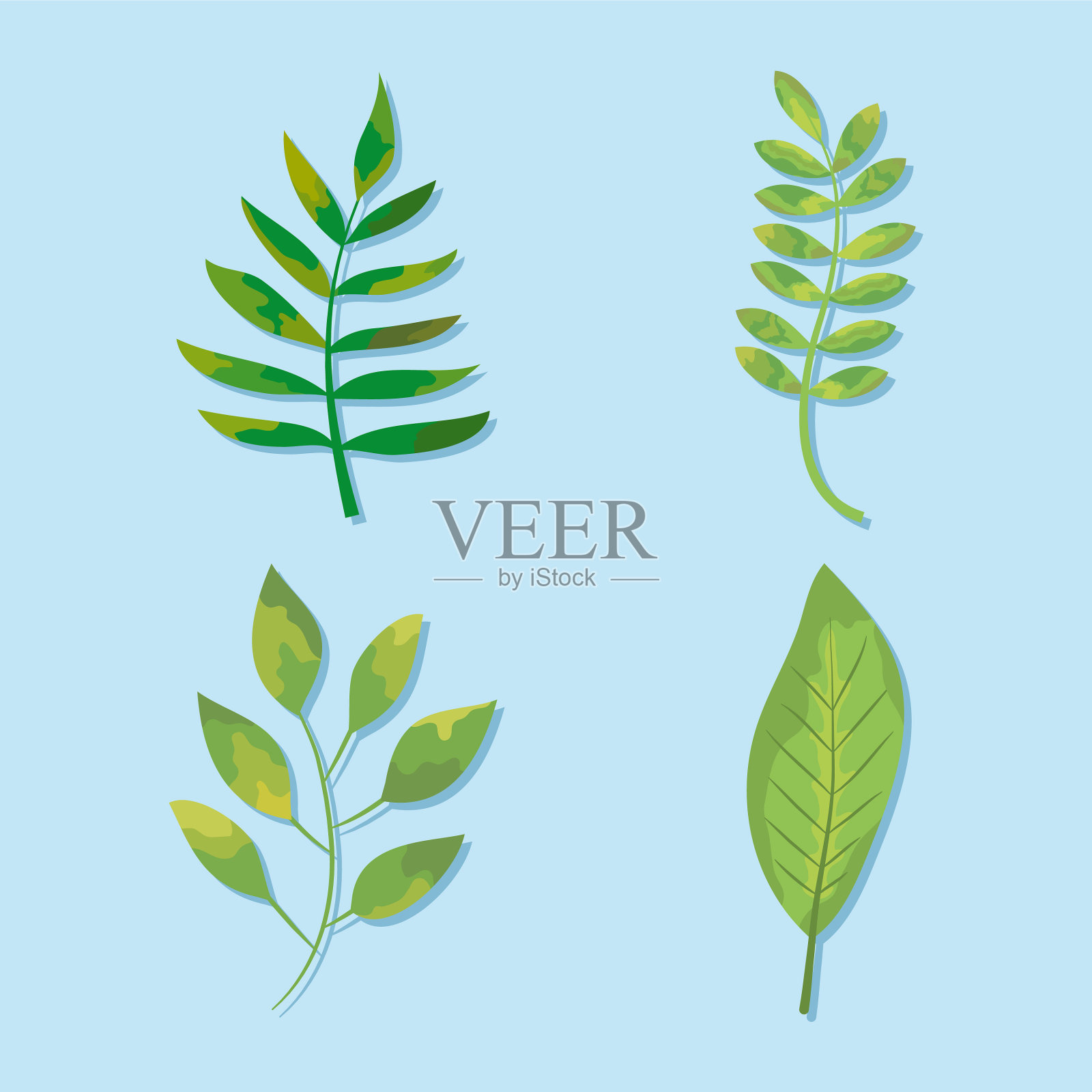 异国情调的叶子图标设置丰富多彩的设计图标素材