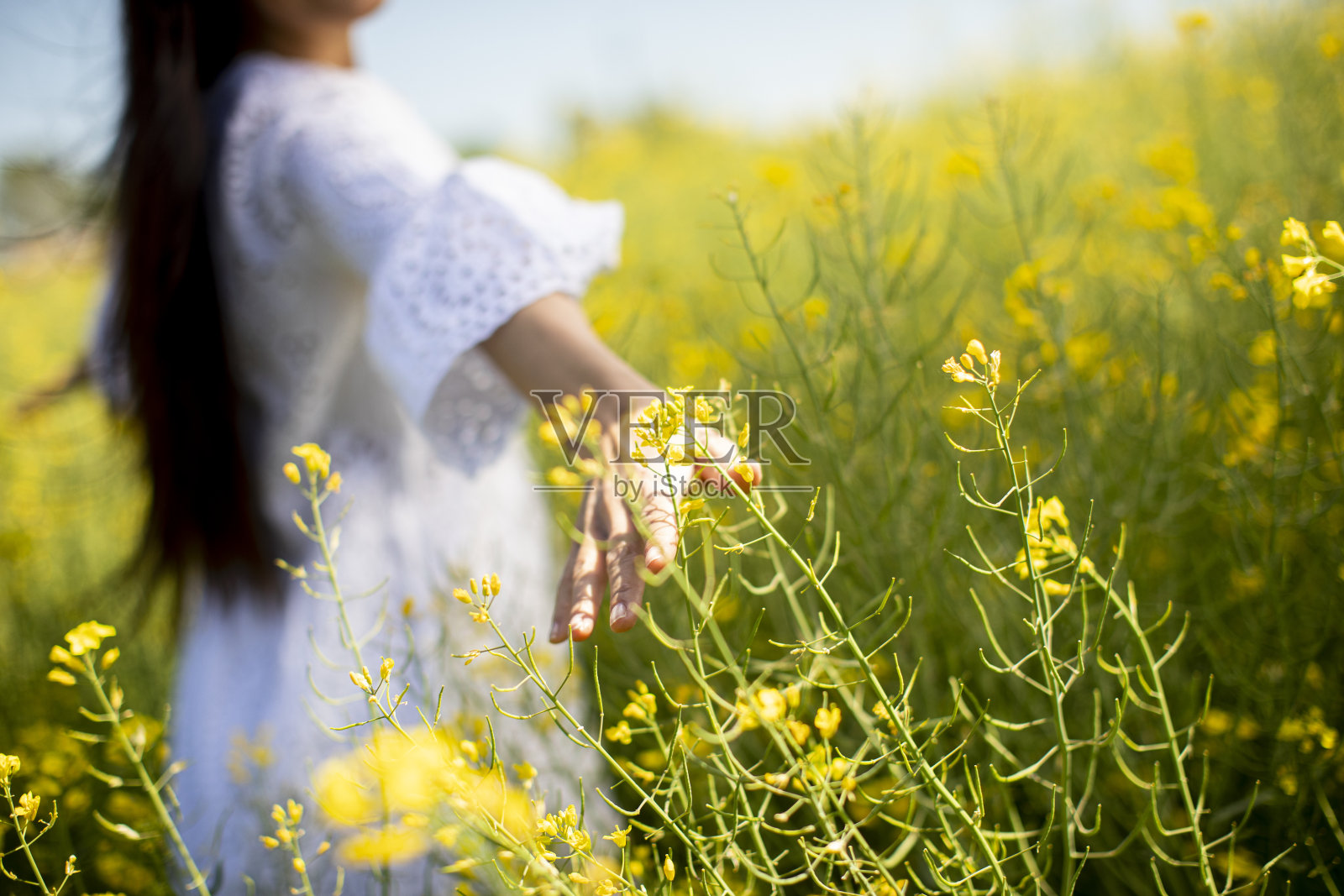 油菜地里的年轻女子照片摄影图片