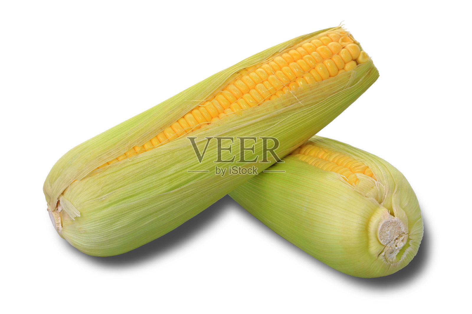 接近新鲜的生玉米孤立在白色背景与剪切路径选择。照片摄影图片