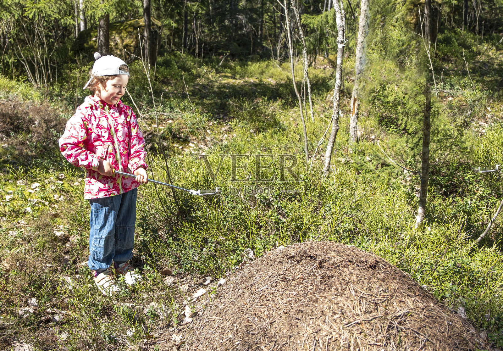 白人女孩用手机拍摄视频和照片，拍摄森林中的蚂蚁照片摄影图片