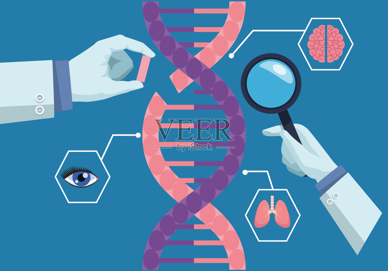 科学家手握DNA插画图片素材