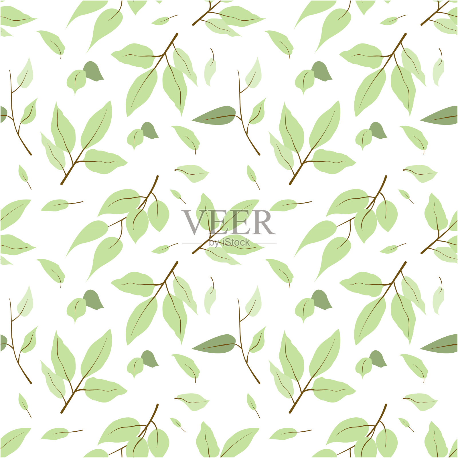无缝绿叶图案在白色背景。美丽的墙纸树枝上绿叶概念自然矢量插图。设计元素图片