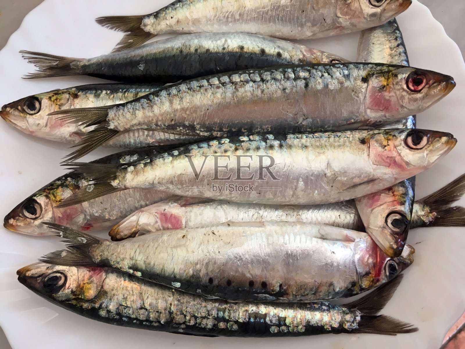 装在盘子里的新鲜沙丁鱼等着煮。照片摄影图片