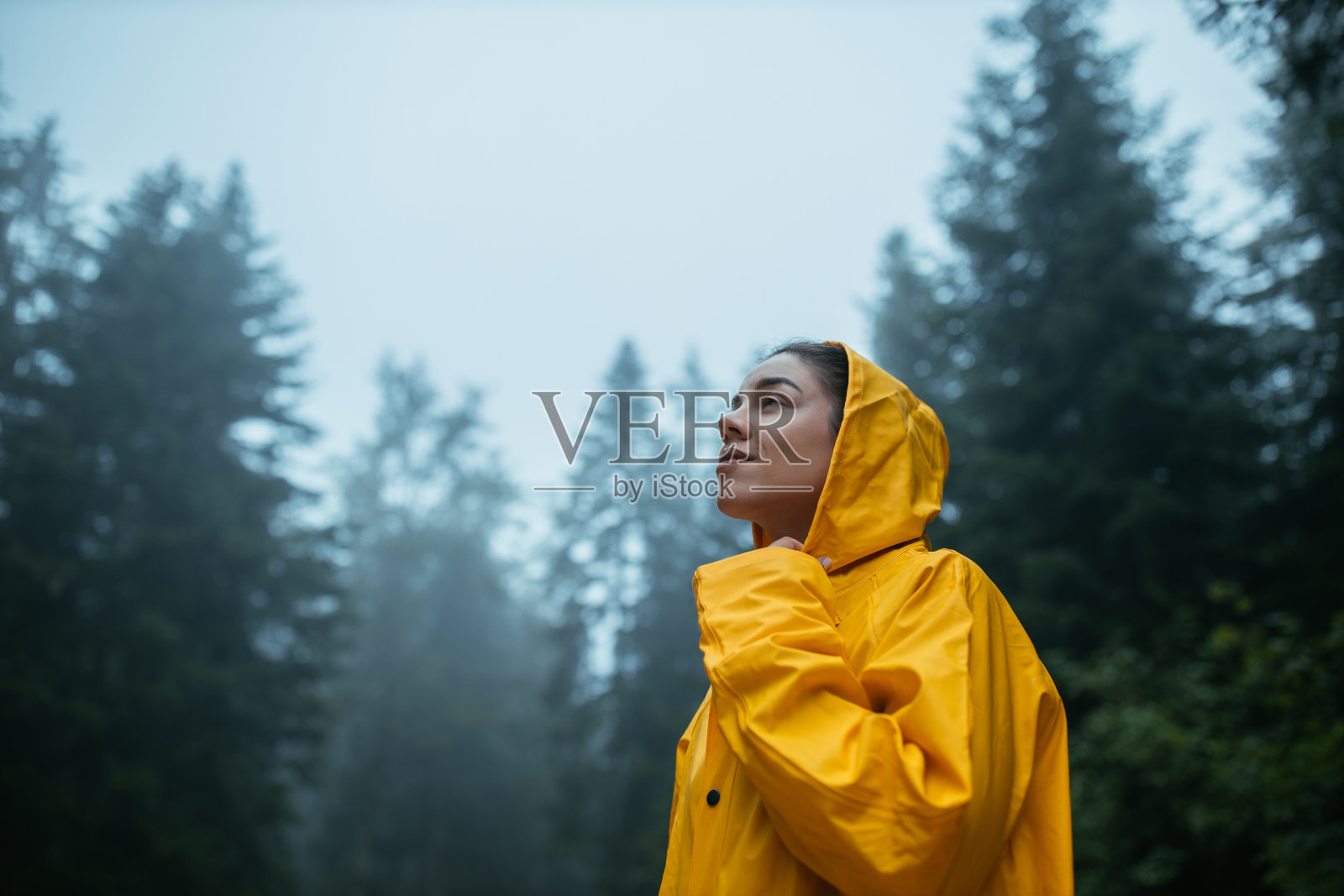 当你学会拥抱暴风雨，生活就会更美好照片摄影图片