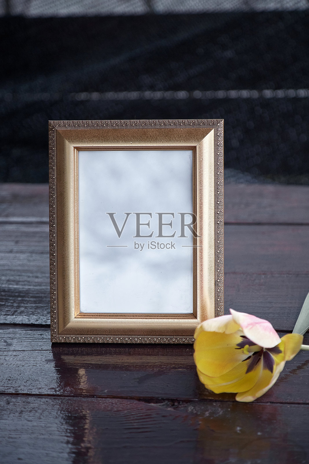 极简主义模拟框架与郁金香花和阴影。现代的室内。副本的空间。时髦的模板照片摄影图片