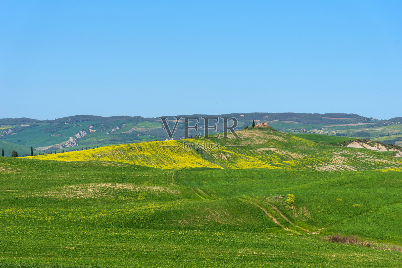 美丽的田园风光，意大利托斯卡纳的春花。照片摄影图片
