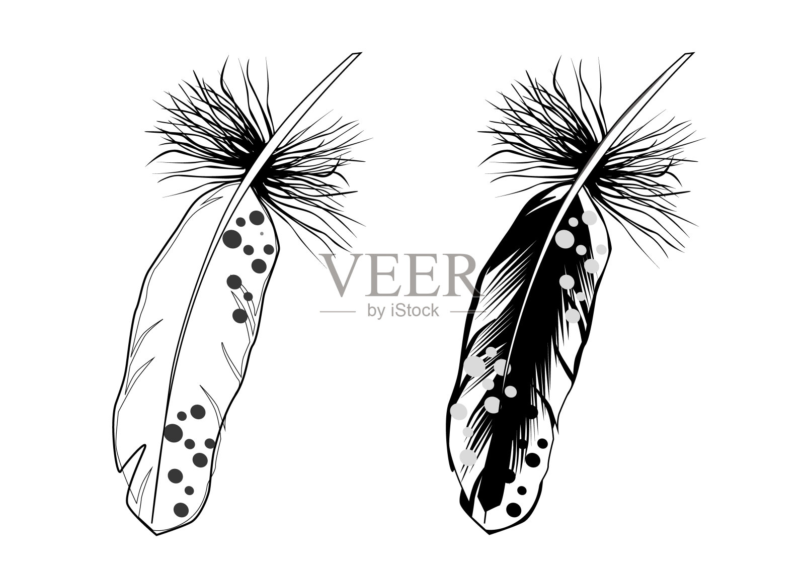 白色背景上的羽毛向量集。插图为设计的卡片，请柬。设计元素图片