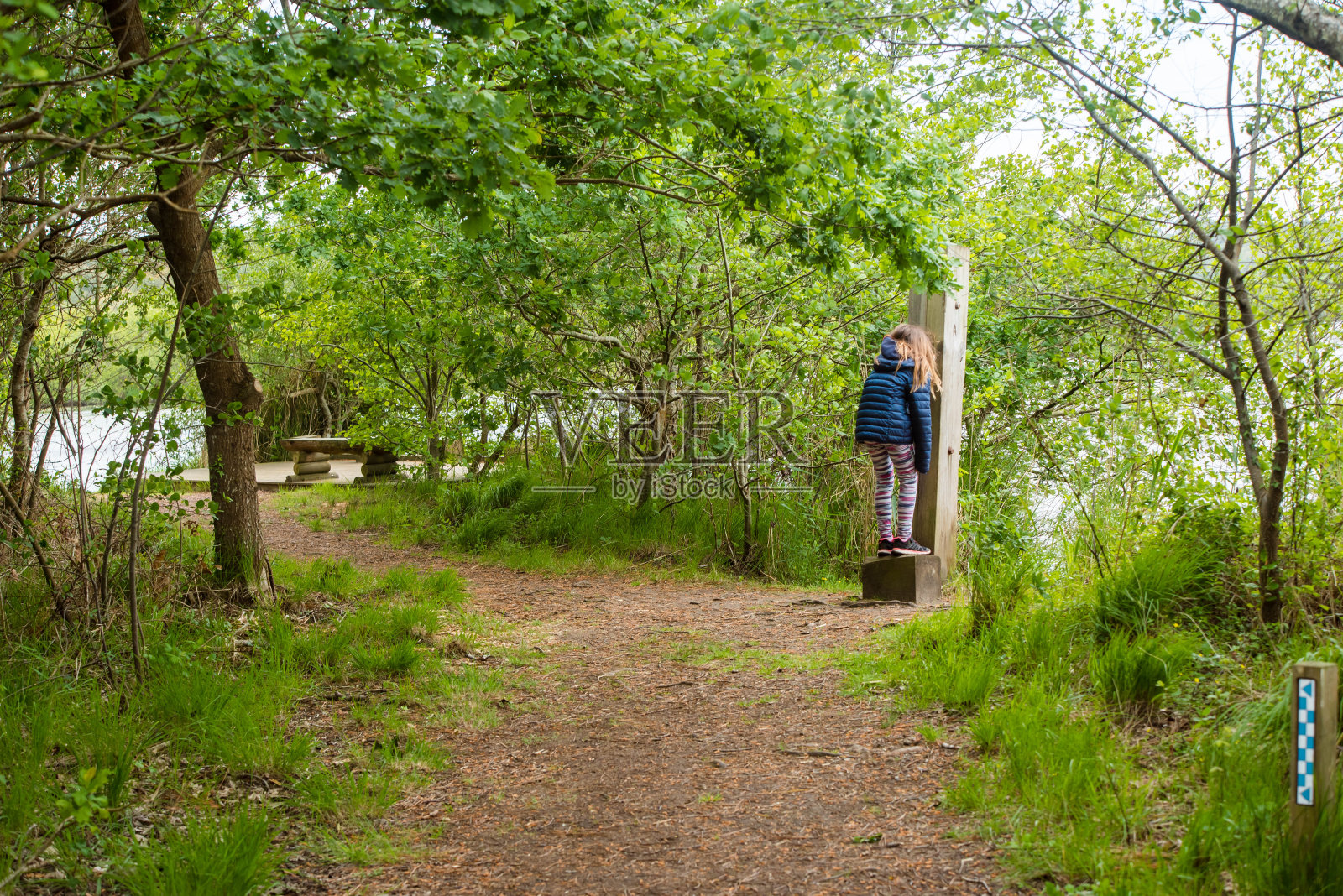 漂亮的小女孩发现森林多亏了一个有趣的课程照片摄影图片