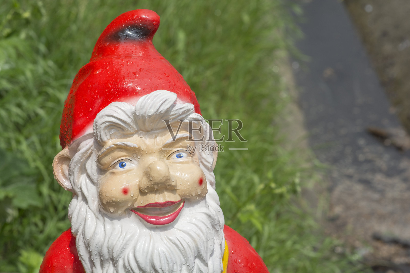 花园里笑容满面的闪亮圣诞老人照片摄影图片