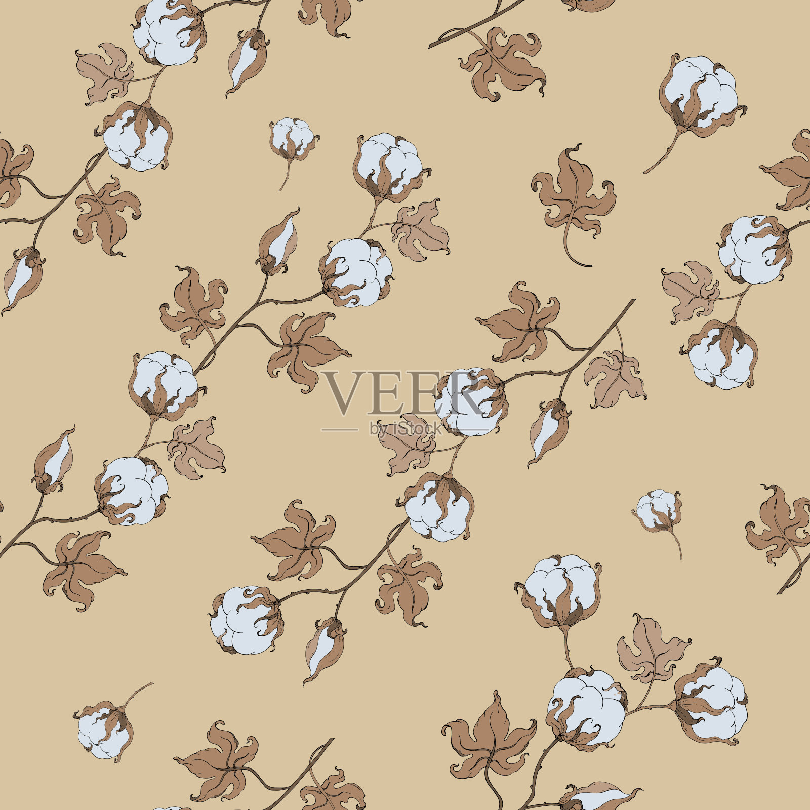 无缝的模式植物。米色背景上的棉花花。手绘illustration.vector。插画图片素材