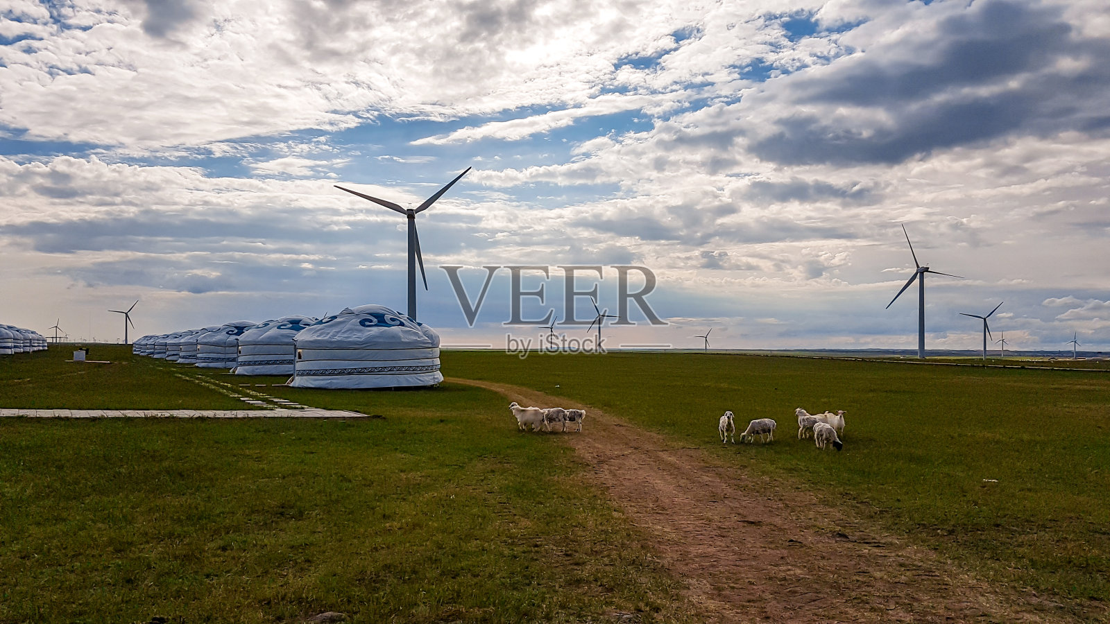 锡林浩特——几座传统的白色蒙古包坐落在内蒙古锡林浩特的一个牧场上。无尽的草原。蓝天白云照片摄影图片