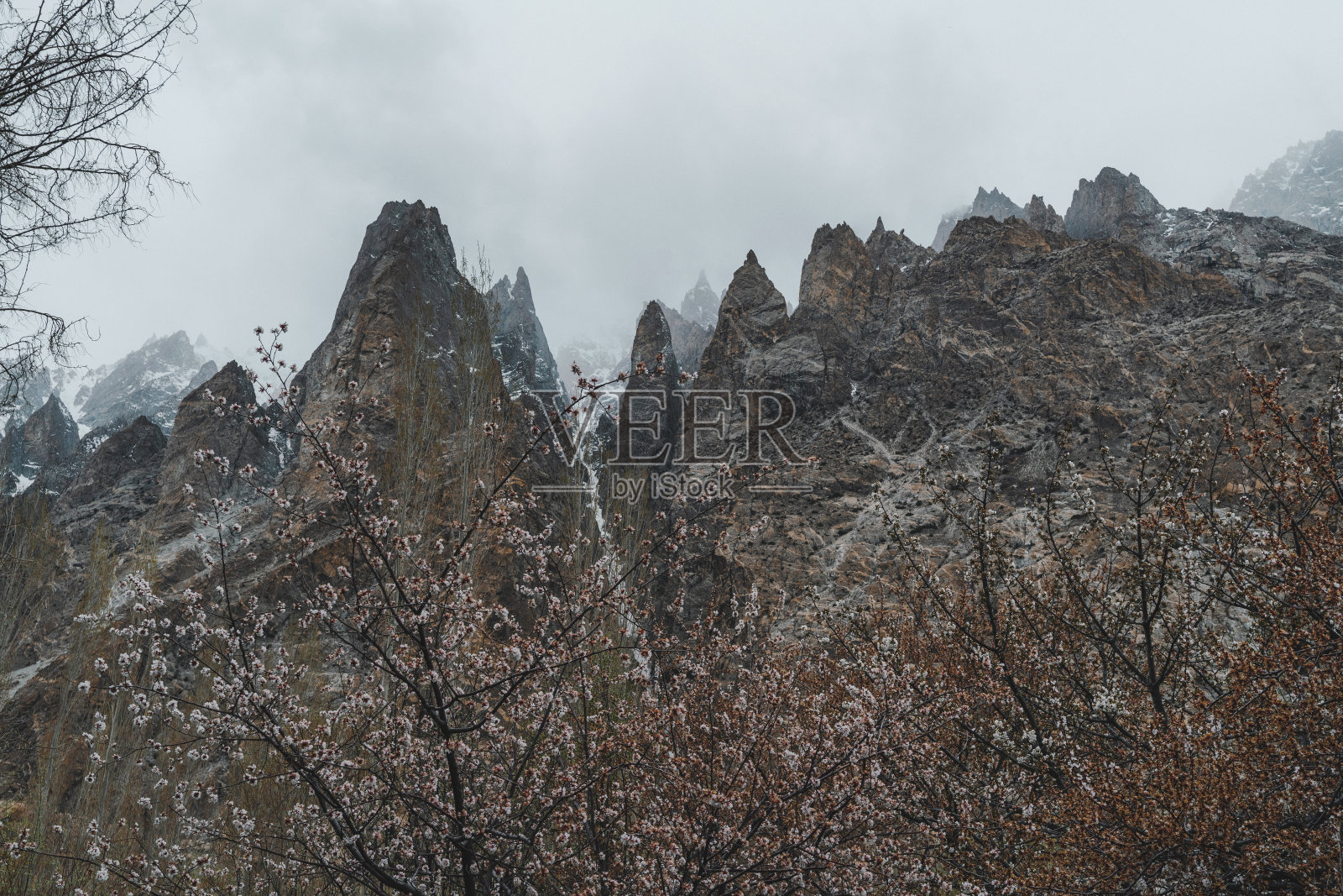 巴基斯坦北部杏花美景照片摄影图片