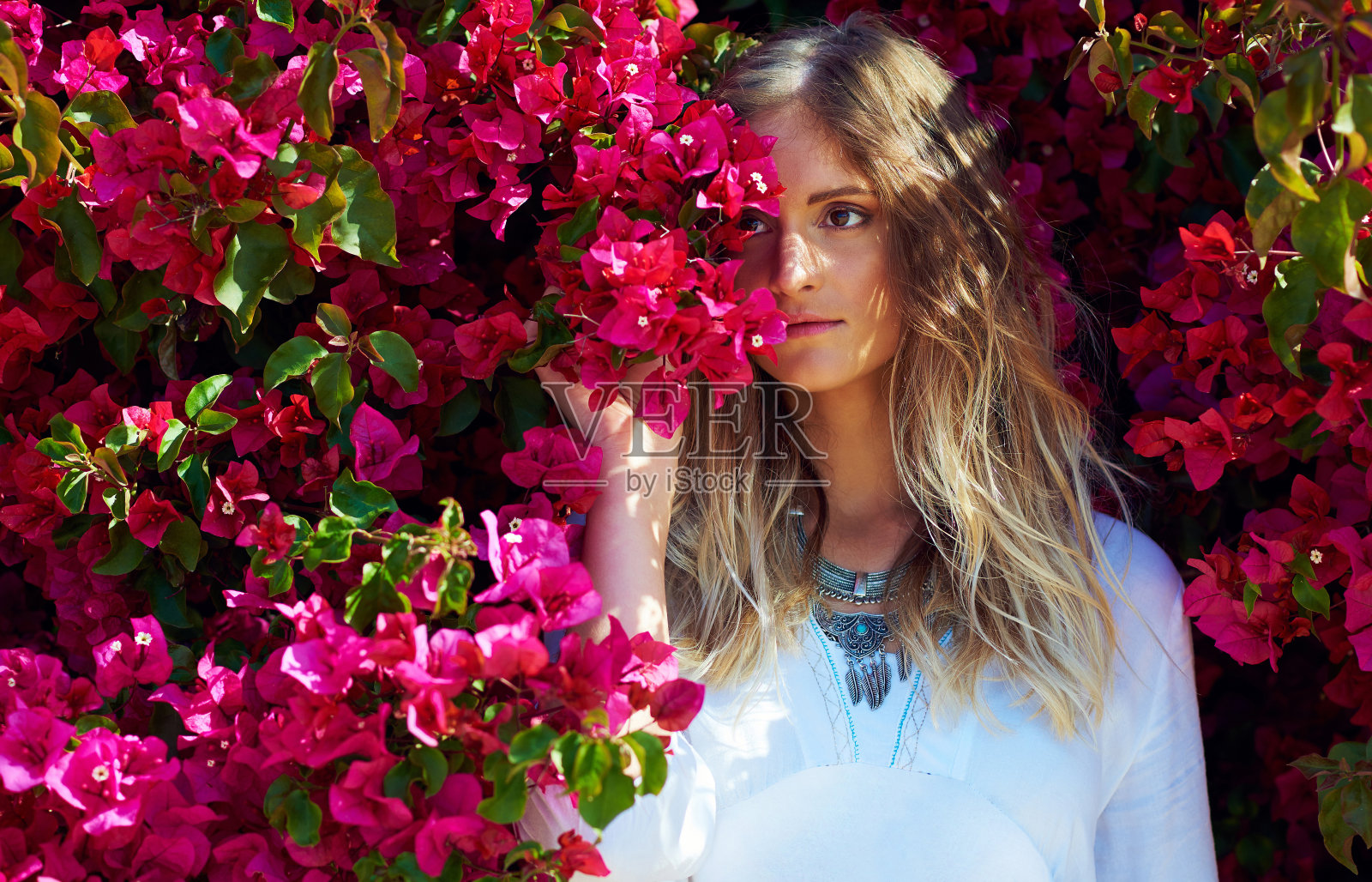 一个迷人的年轻女子站在一个美丽的粉红色花朵树下的照片照片摄影图片