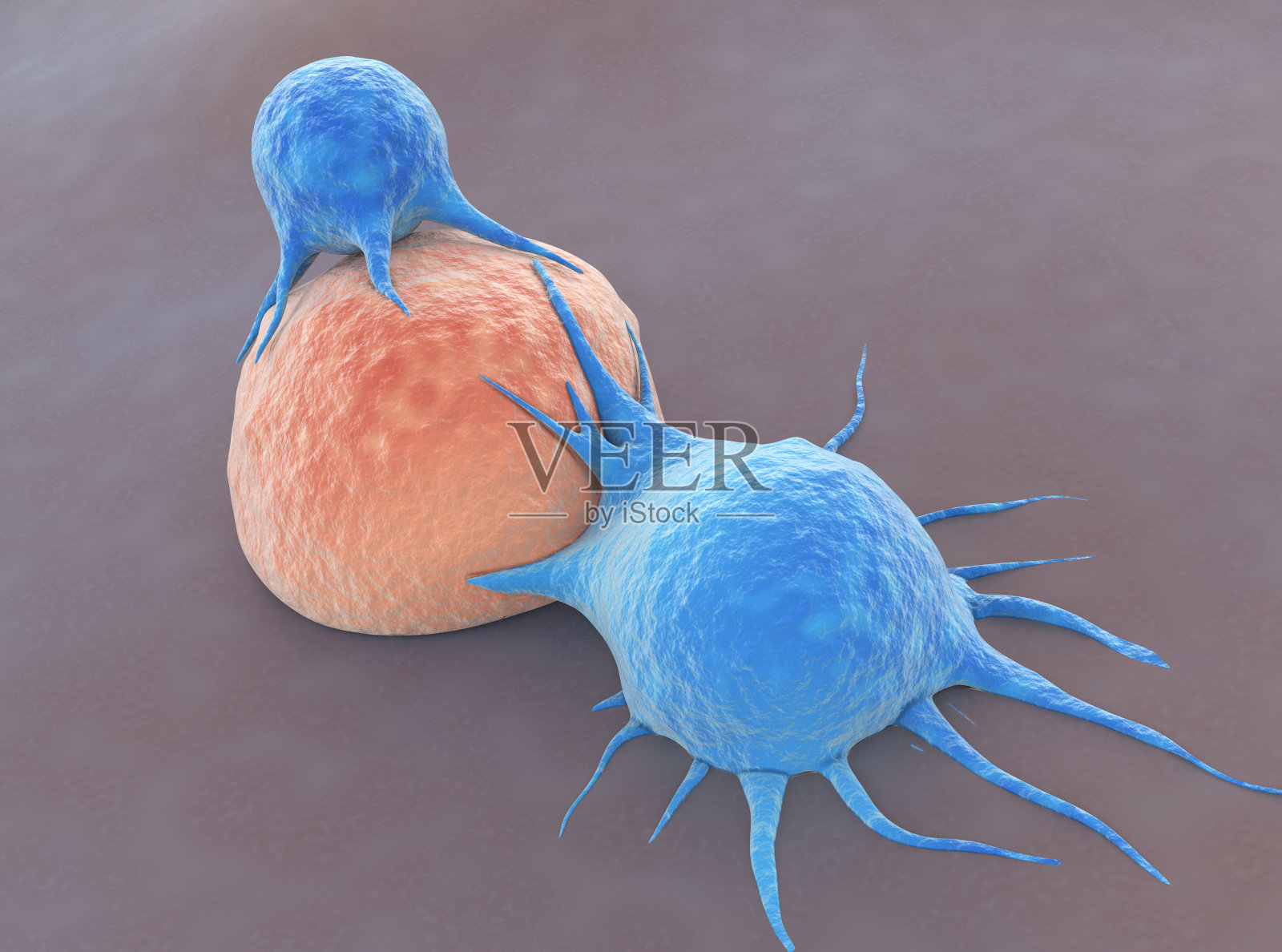 t细胞攻击癌细胞照片摄影图片