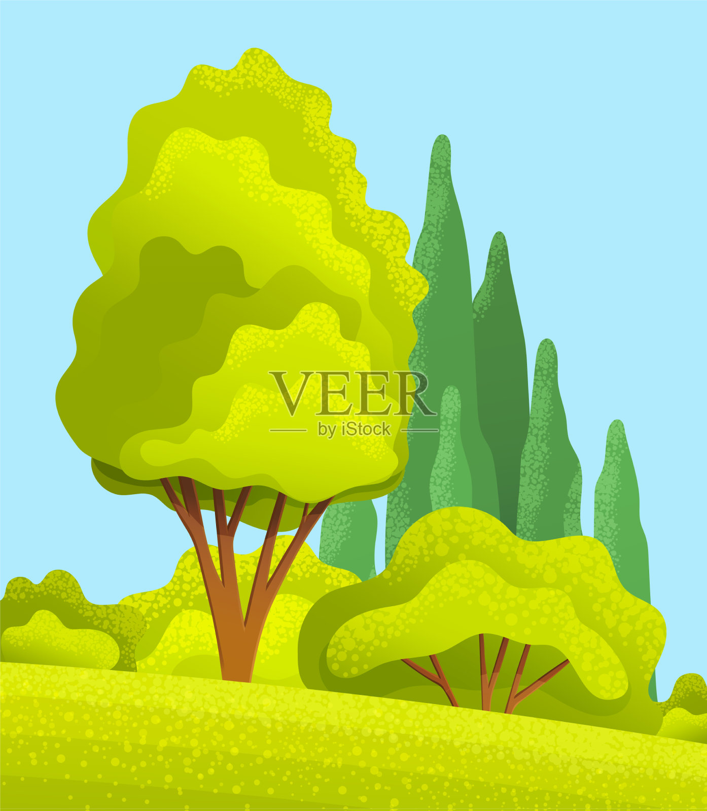 高大的树木和冷杉郁郁葱葱的灌木丛，蔚蓝的天空插画图片素材