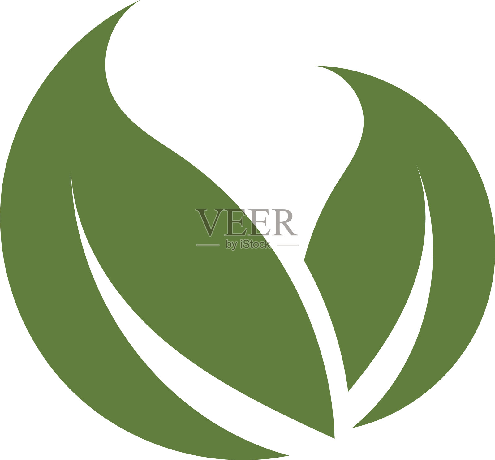 叶插画图片素材