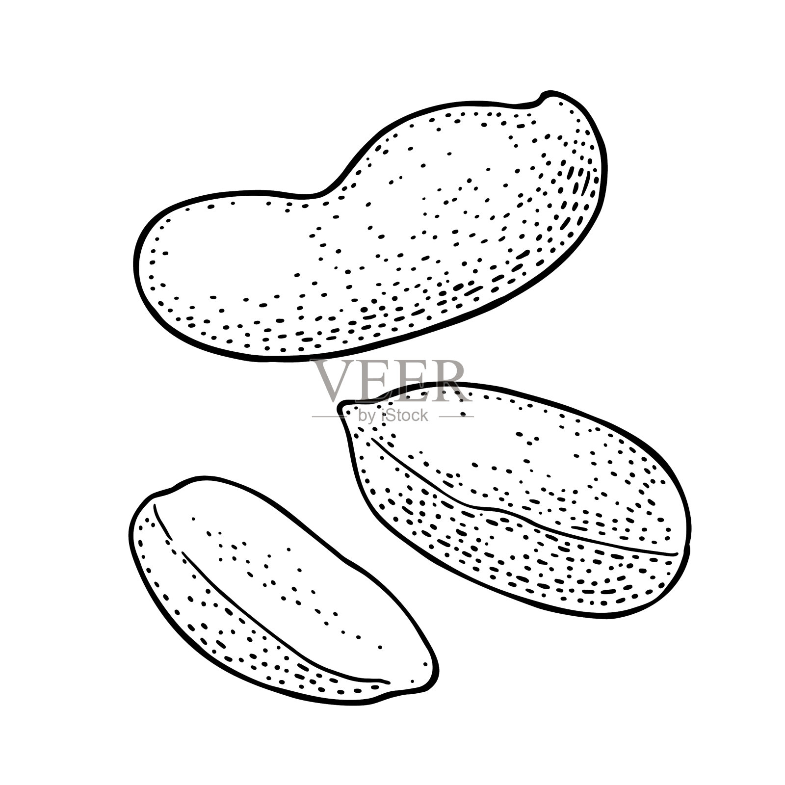 全粒和半粒带壳和不带壳的花生种子插画图片素材