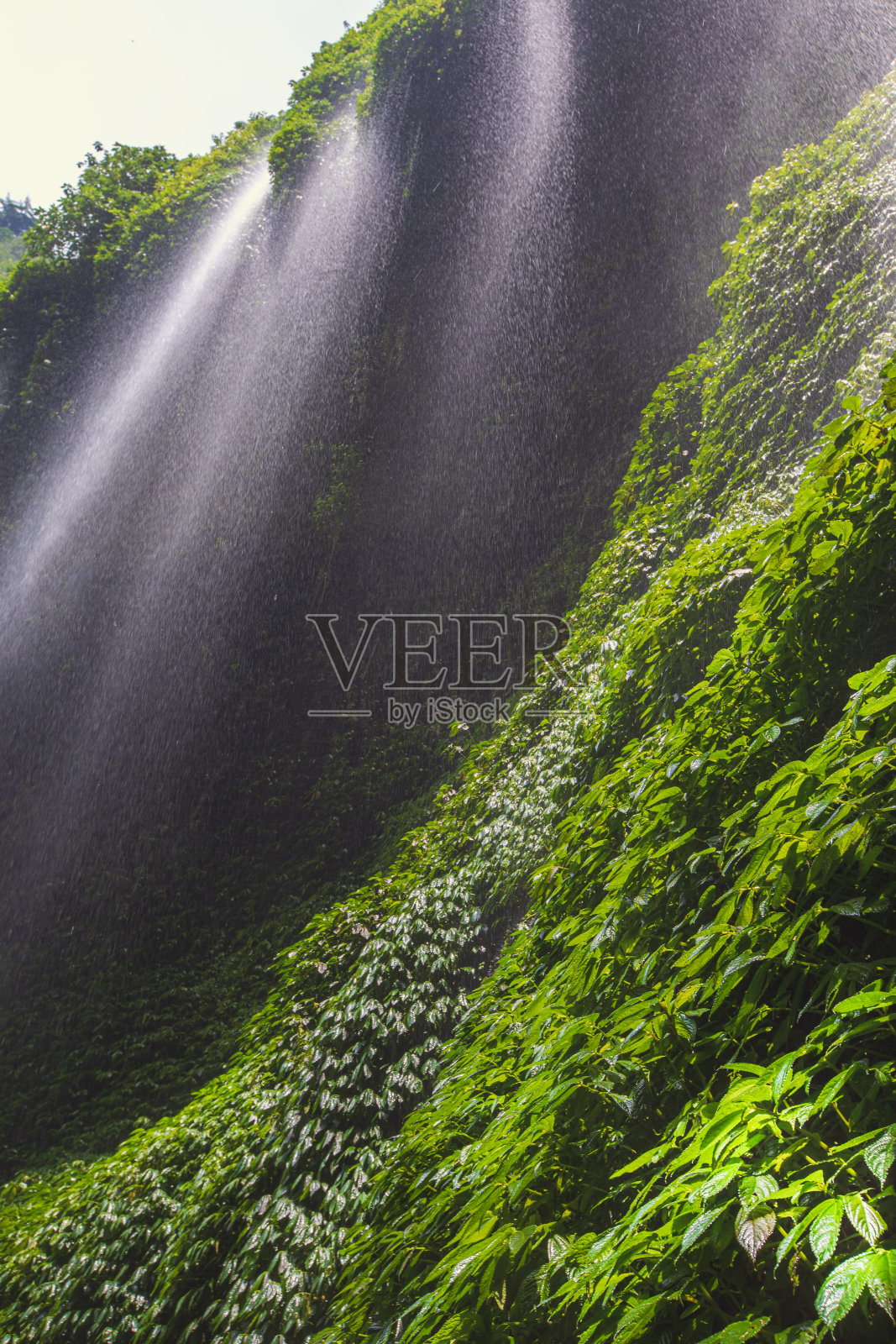马达卡里普拉瀑布，一个美丽的瀑布，在印度尼西亚东爪哇丰富的自然森林中间。照片摄影图片