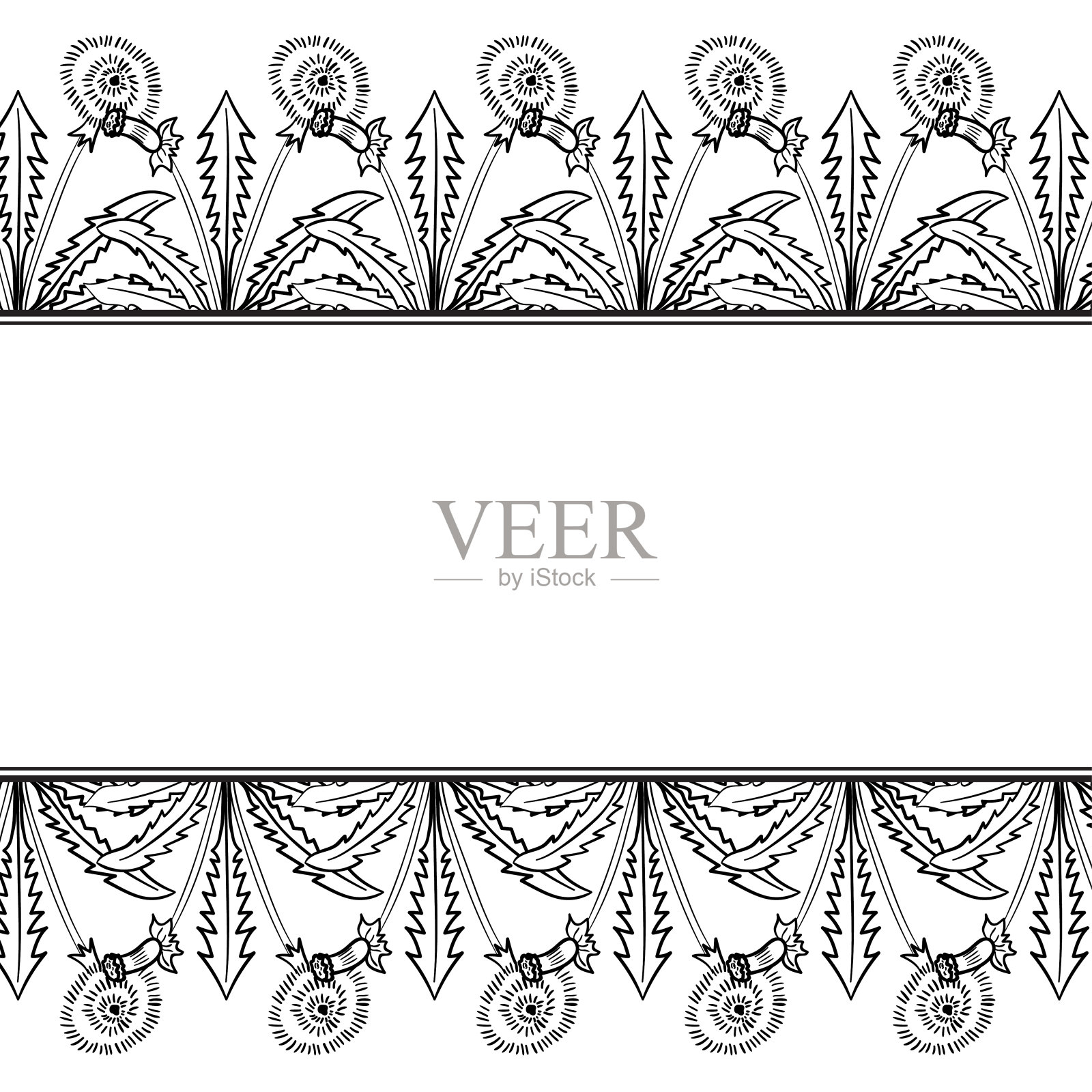 蒲公英帧边界插画图片素材