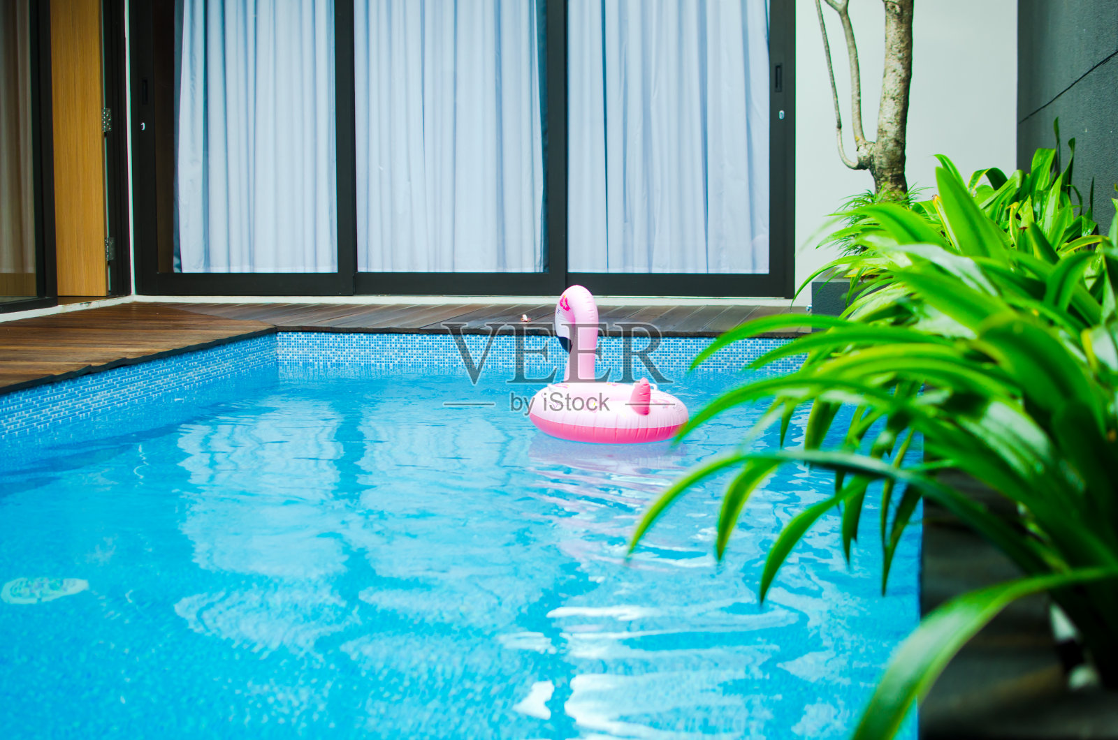 你好,夏天。粉红色的充气火烈鸟在游泳池的水为夏天的海滩背景。时尚的夏天的概念。照片摄影图片