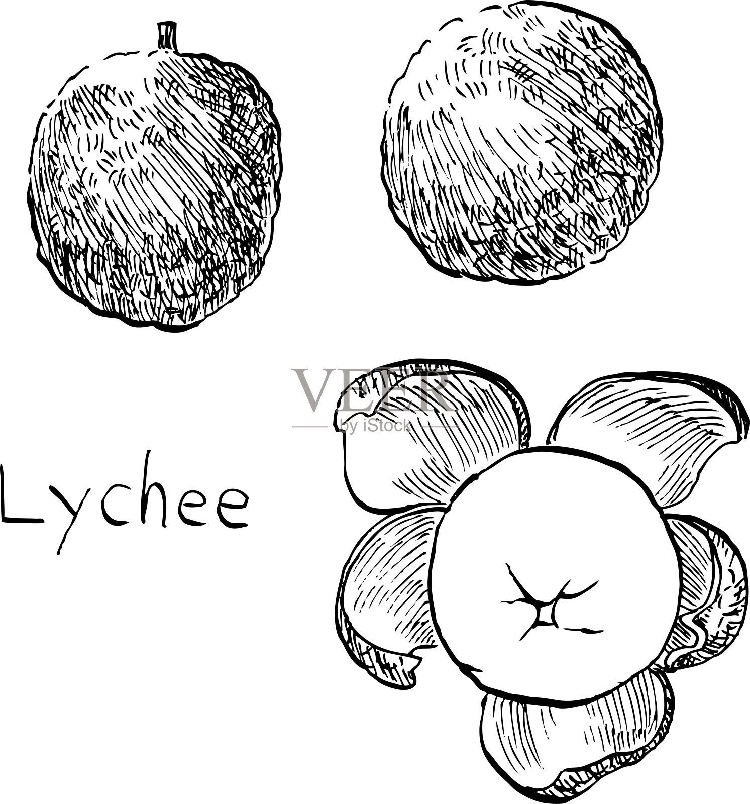 这是一个用手绘笔画的三个荔枝的黑白插图。插画图片素材
