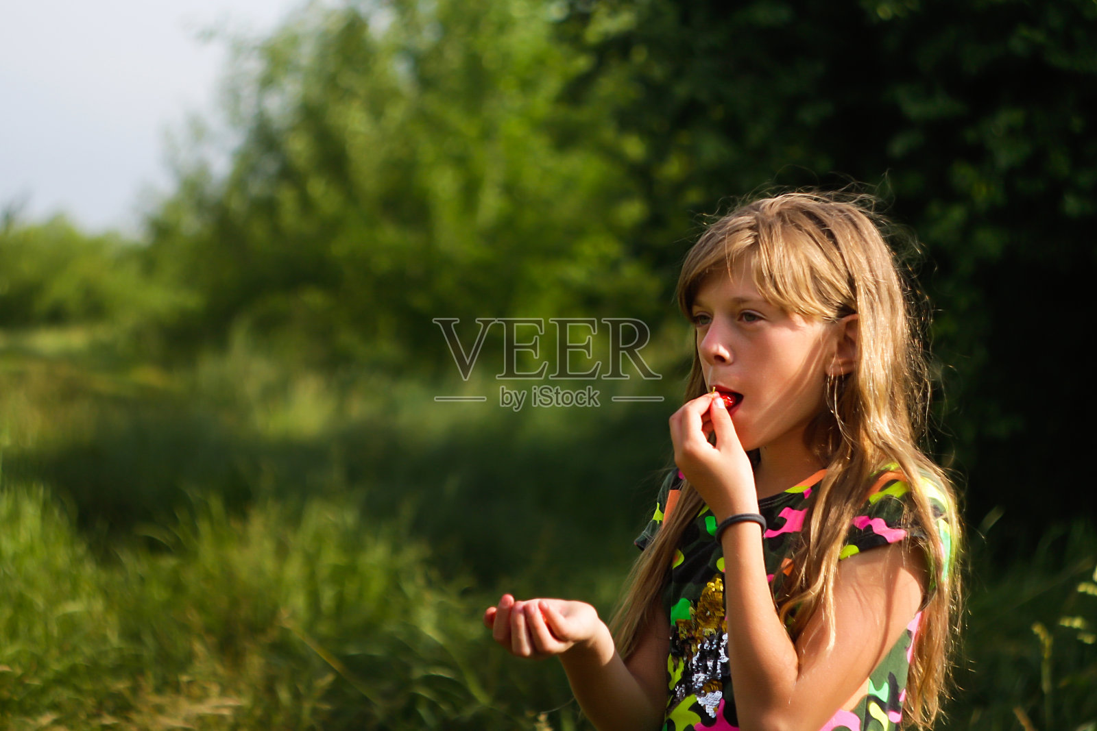 可爱的金发小女孩正在吃草莓。明亮的衣服。在温暖的夏日，她站在农场的草地上。漂亮女孩，金发，十几岁。有选择性的重点照片摄影图片