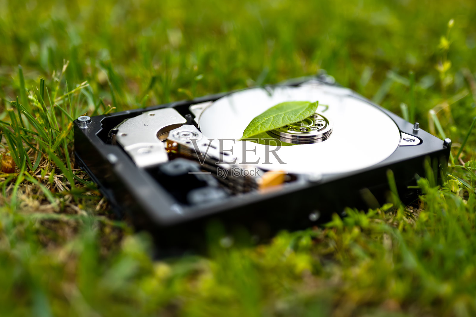 硬盘驱动器和草地上的一片树叶照片摄影图片