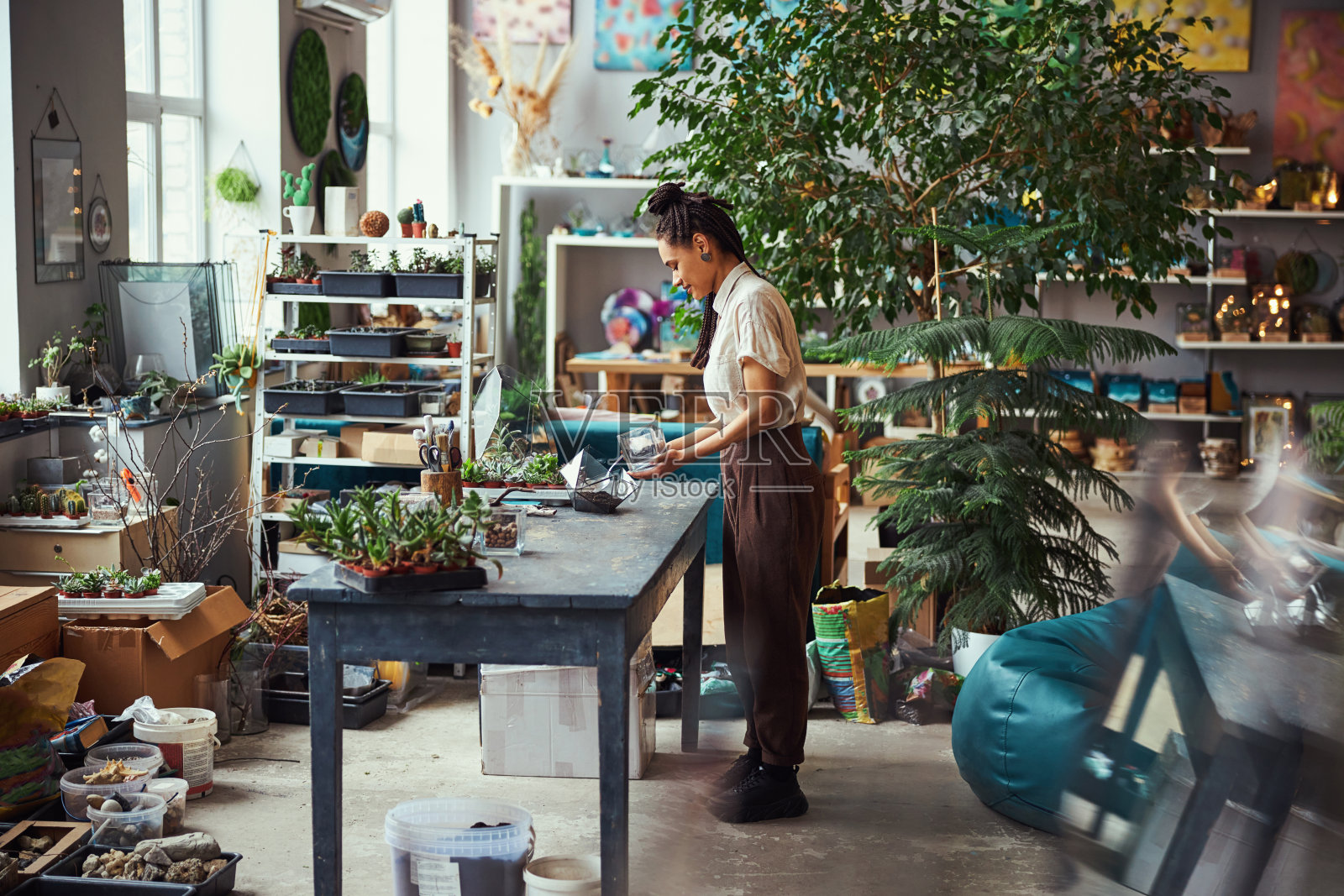 浓缩花匠添加盆栽混合到一个几何花卉照片摄影图片