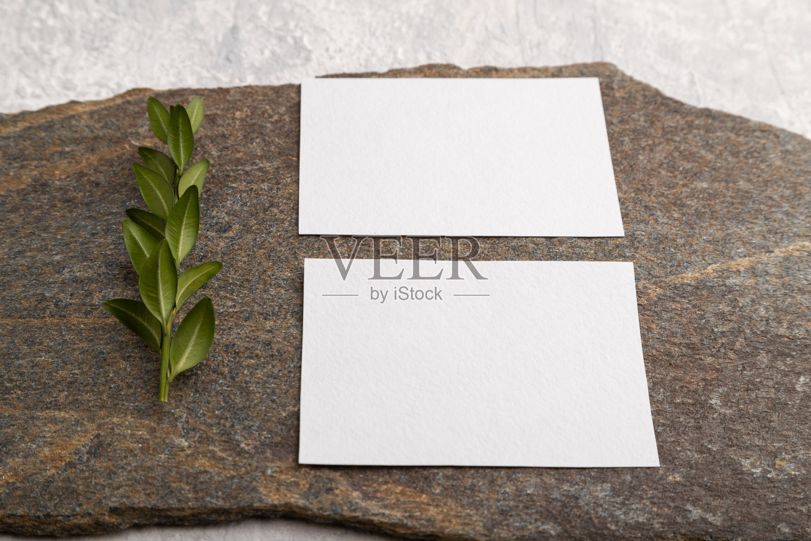 白纸名片，模型与天然石材和黄杨树枝在灰色混凝土背景。空白，侧视图，静物，拷贝空间。照片摄影图片
