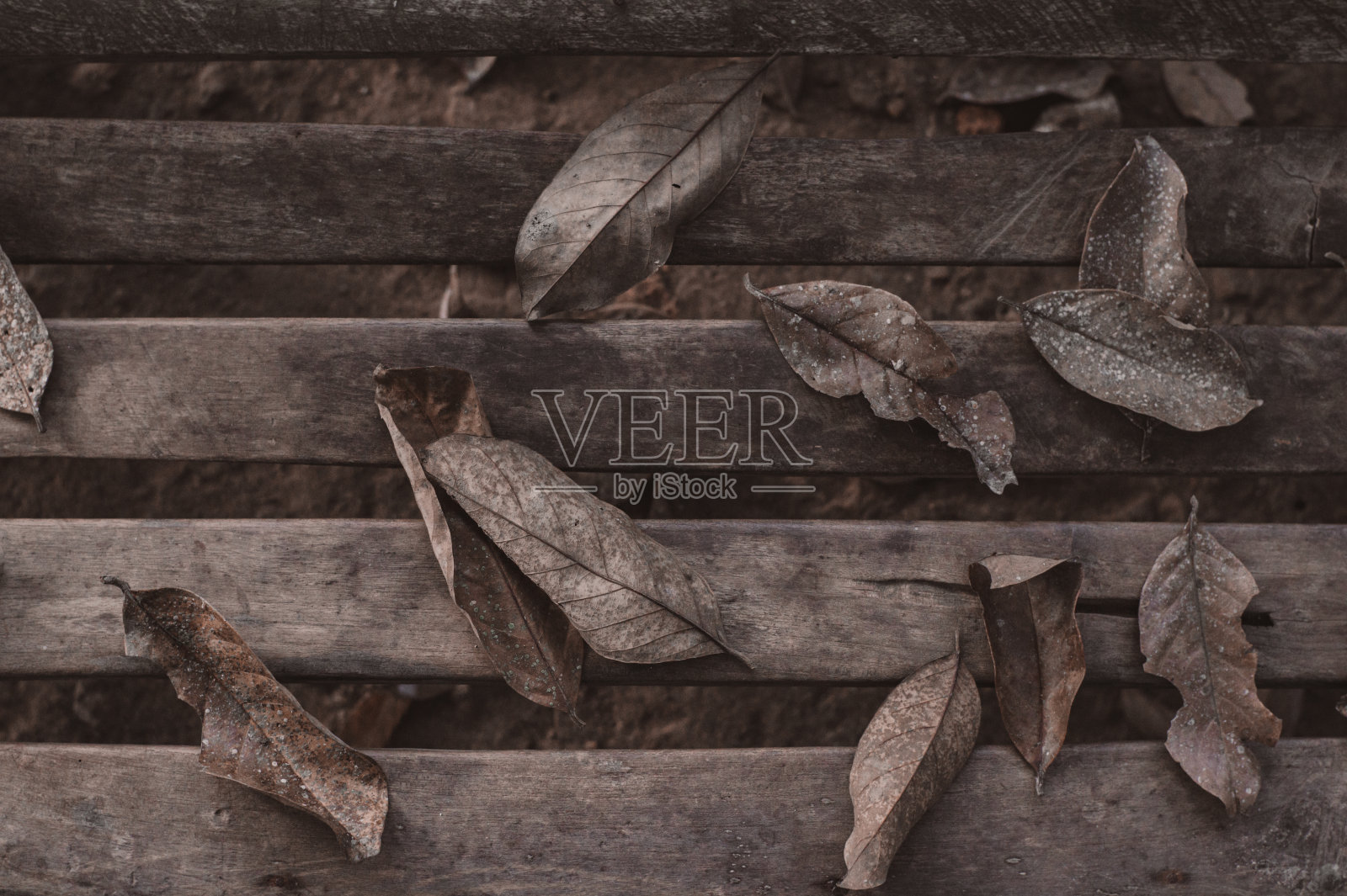 长凳上的枯叶照片摄影图片