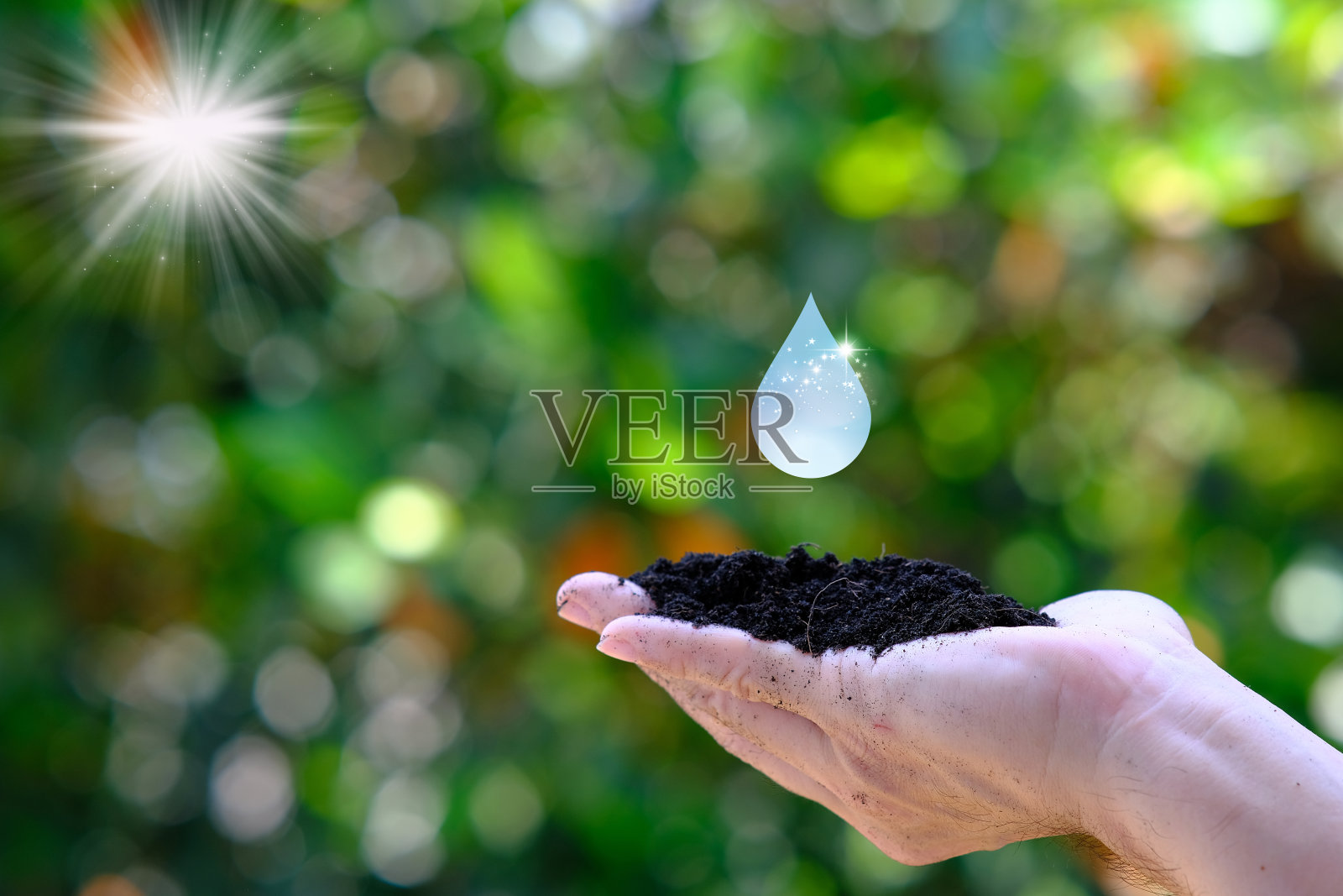 世界土壤日概念和拯救世界，世界环境日概念，拯救世界和商业生态概念照片摄影图片