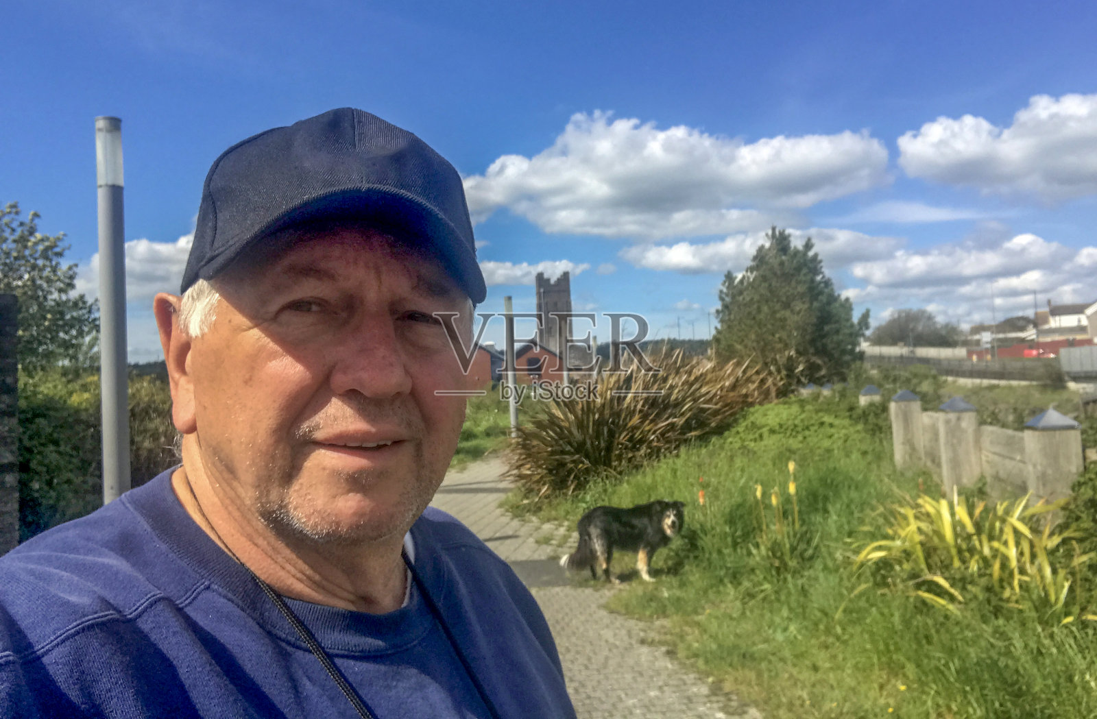 老人在遛牧羊犬照片摄影图片