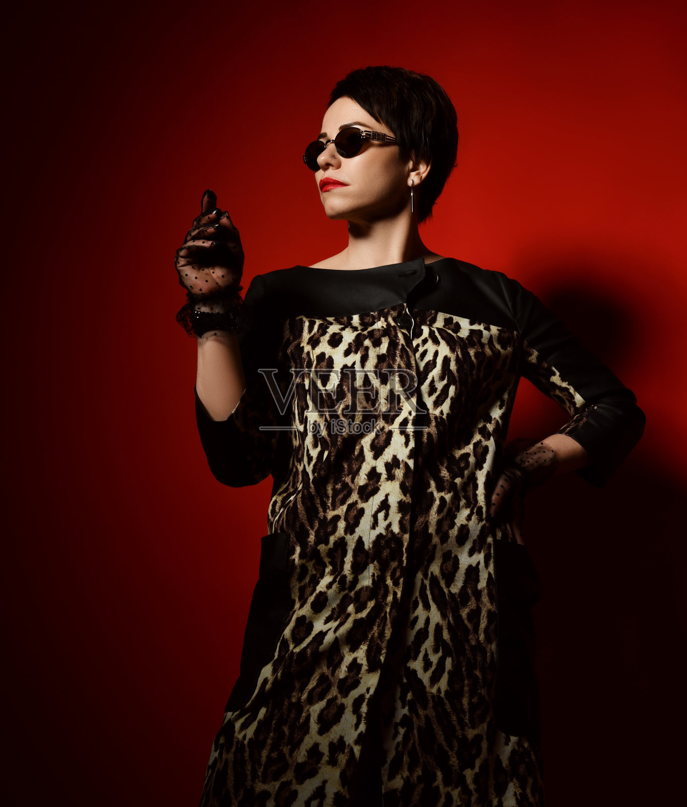 富有华丽的短发黑发女人豹纹连衣裙，蕾丝手套和太阳镜站在一边看照片摄影图片