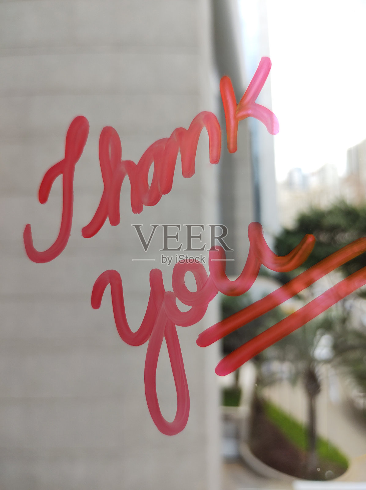 感恩，窗户玻璃上的感谢信照片摄影图片