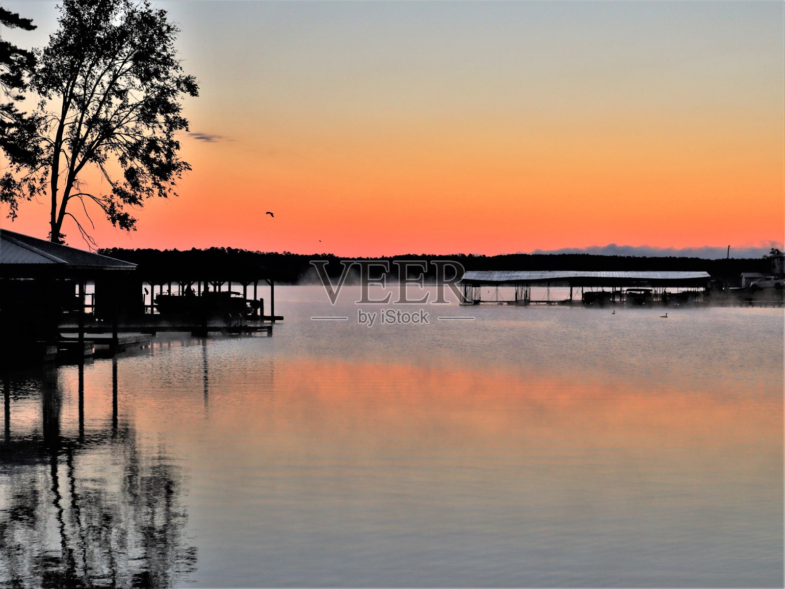 海湾的颜色和鸟类照片摄影图片