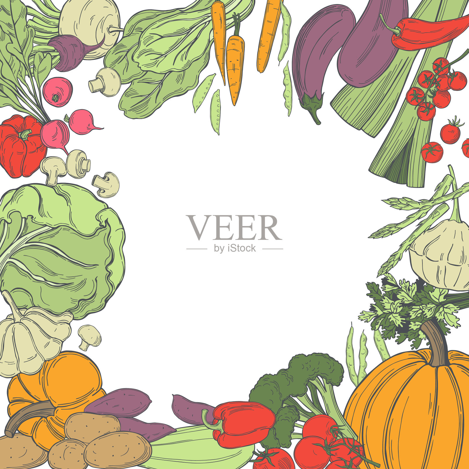 素描的蔬菜插画图片素材