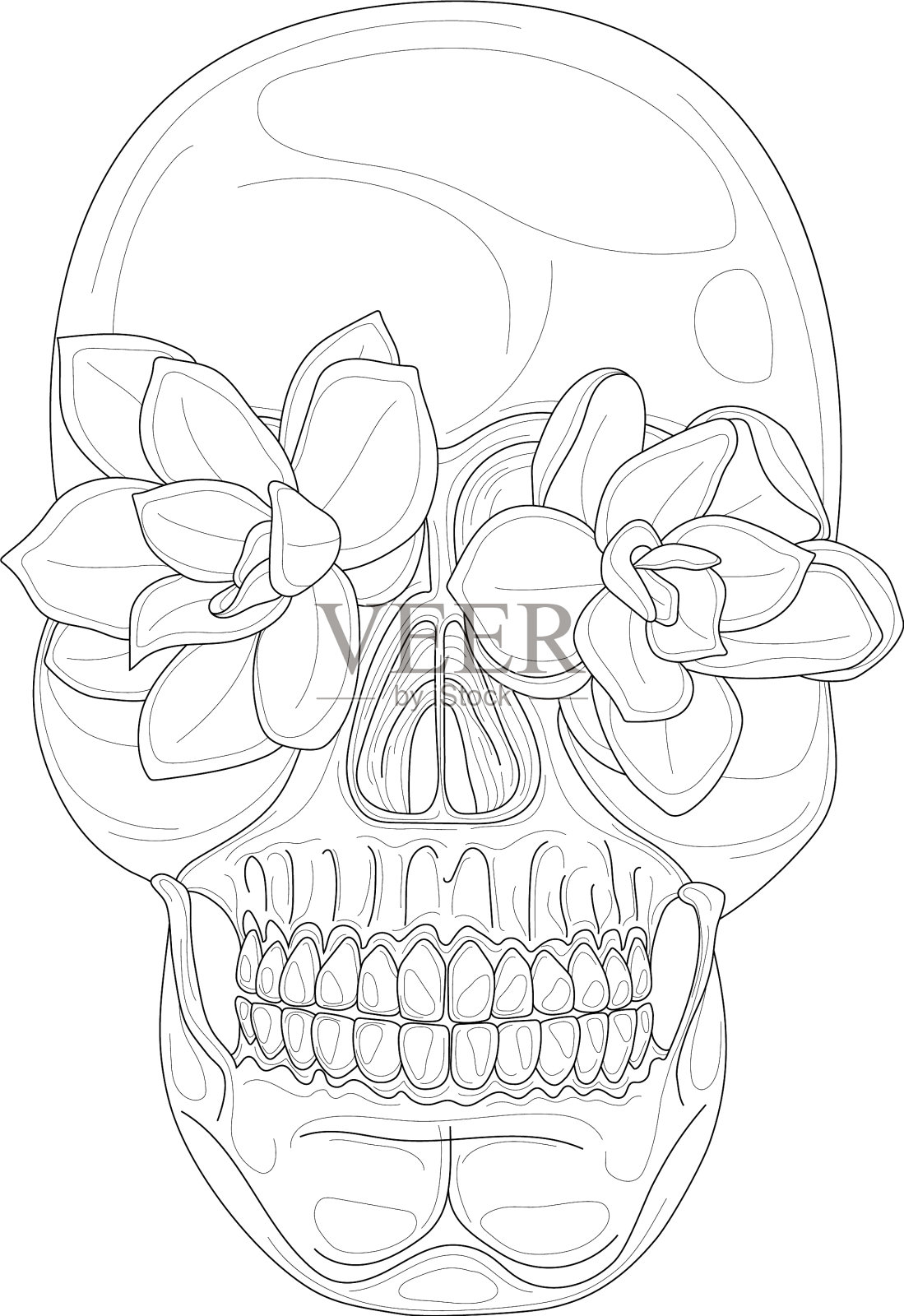 逼真的人类头骨与多肉花素描插画图片素材