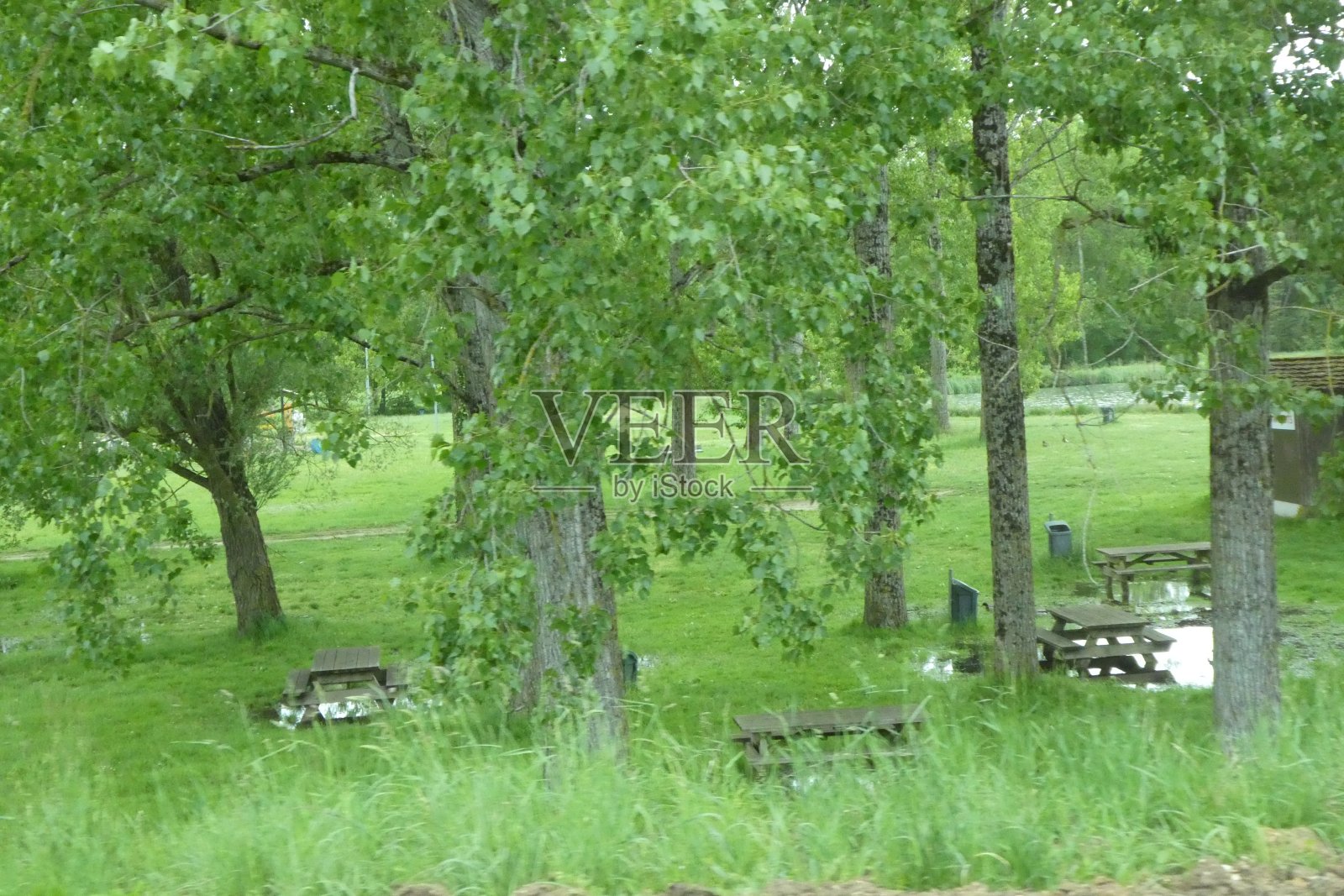 淹水公园照片摄影图片