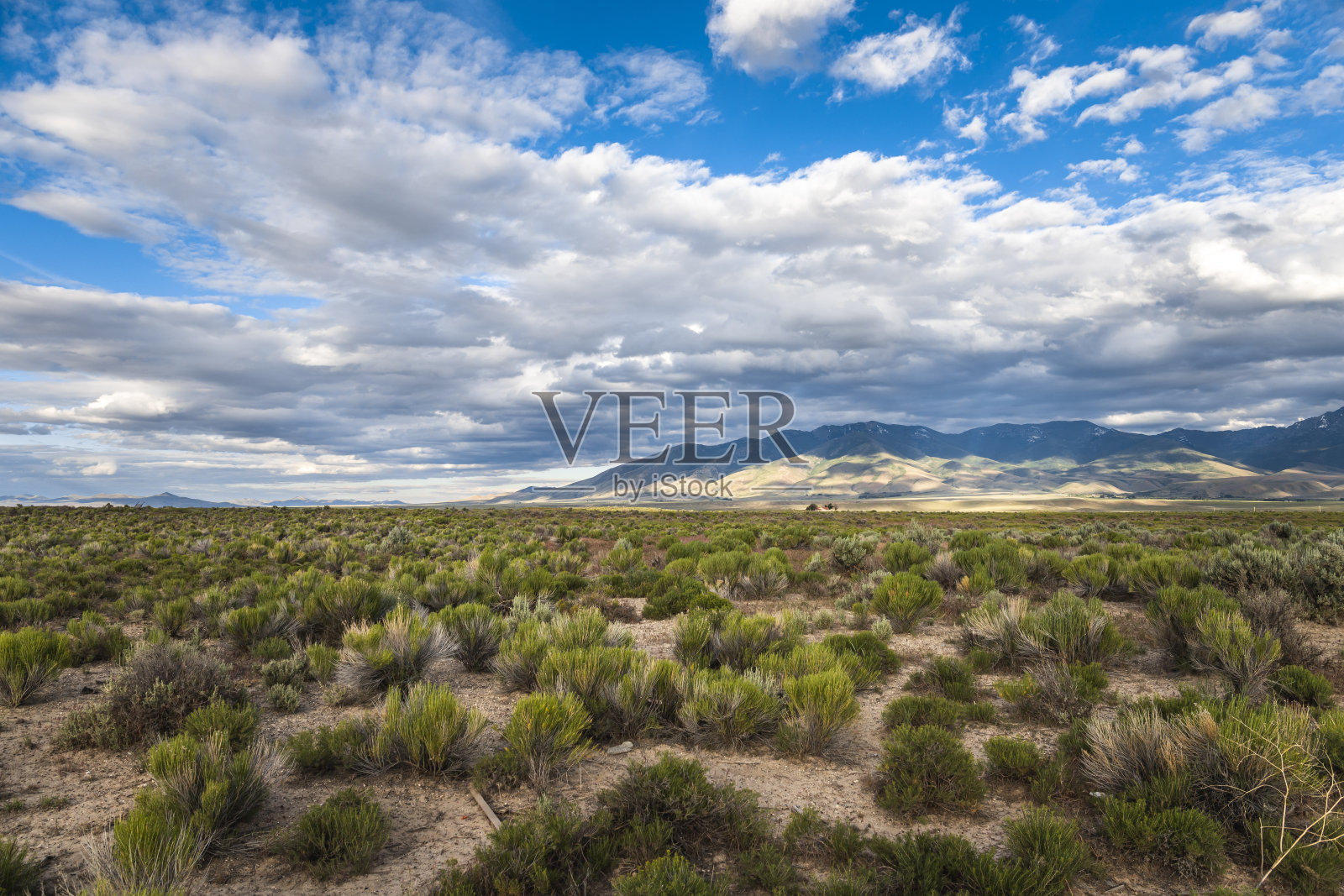 蓝天多云和沙漠景观照片摄影图片